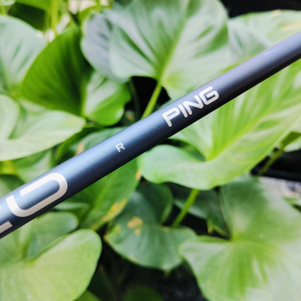 ก้าน ALTRA JCB สภาพใหม่มาก สุดยอดก้านคุณภาพของ PING ไม่เหมือนแบรนด์ไหน ดีมาก ดังมาก ไม้กอล์ฟพรีเมี่ยมมือสอง ของแท้ By NakaraLuxurious