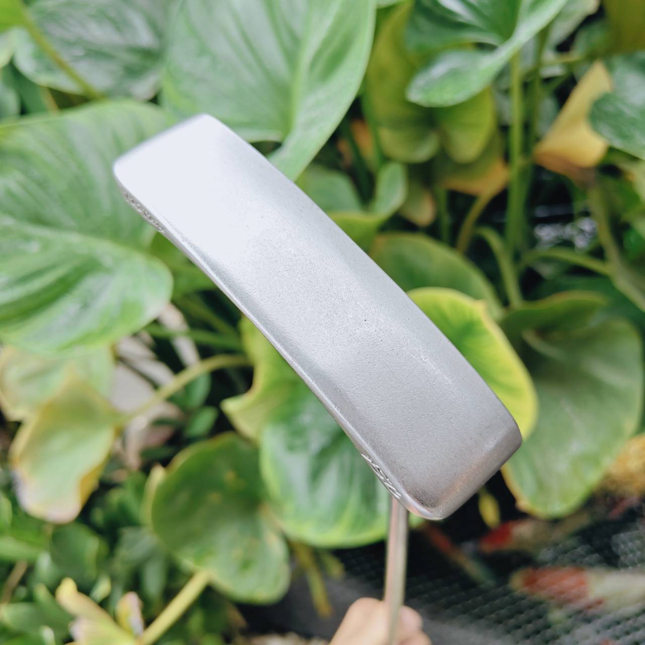 PING iSO-PUR 2 Putter พัตเตอร์ระดับตำนานจาก PING 🇺🇸 ที่ขึ้นชื่อเรื่อง “ฟีลนุ่มและบาลานซ์เยี่ยม”