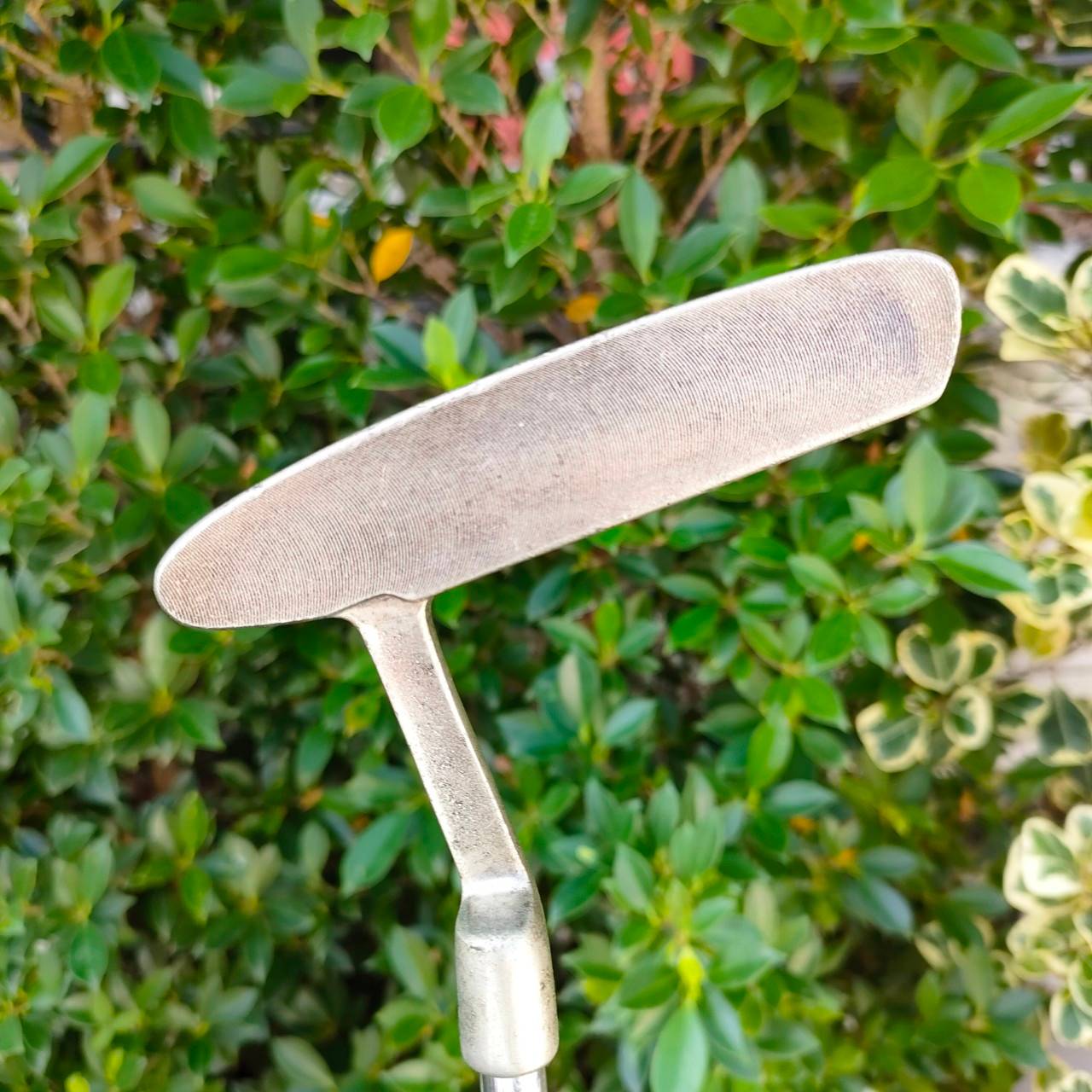 PUTTER DUNLOP D-901P ความยาว 34 นิ้ว ทรงแสตนดาร์ด