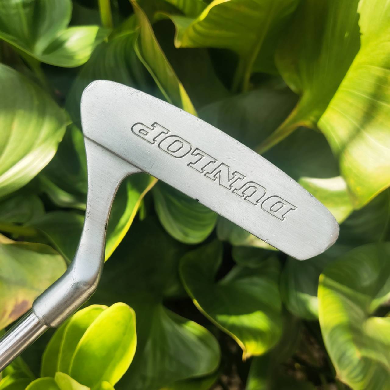 *ไม้กอล์ฟเด็ก* PUTTER DUNLOP DDH X-CEL ความยาว 24.5 นิ้ว พัตต์ง่ายมาก ทรงมอลเล็ต ชดเชยสูง