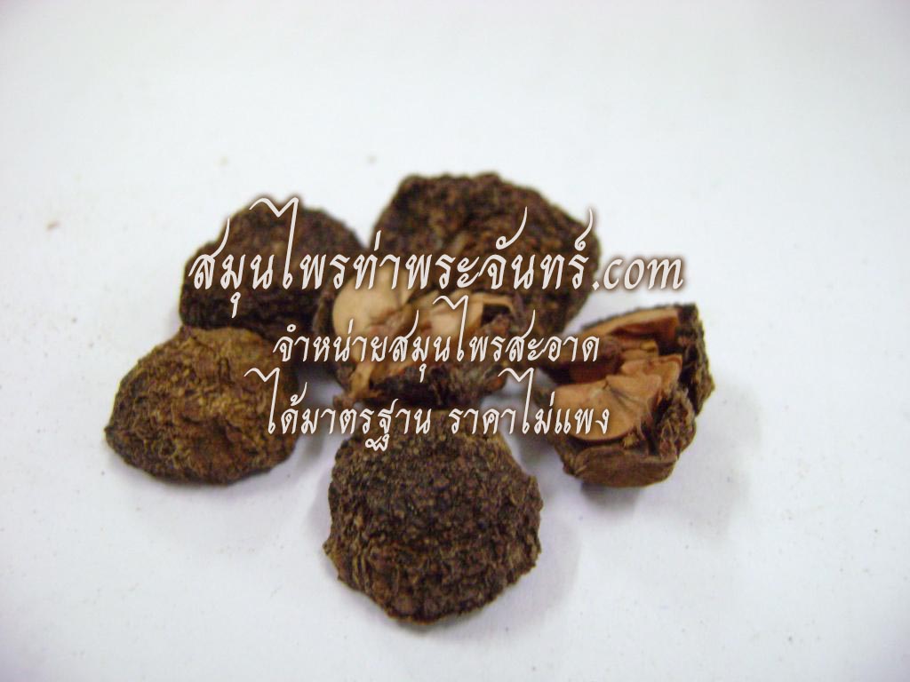 มะขามป้อมแห้ง ( 500กรัม - 1กิโล ) / ( 500g - 1kg ) สมุนไพรท่าพระจันทร์