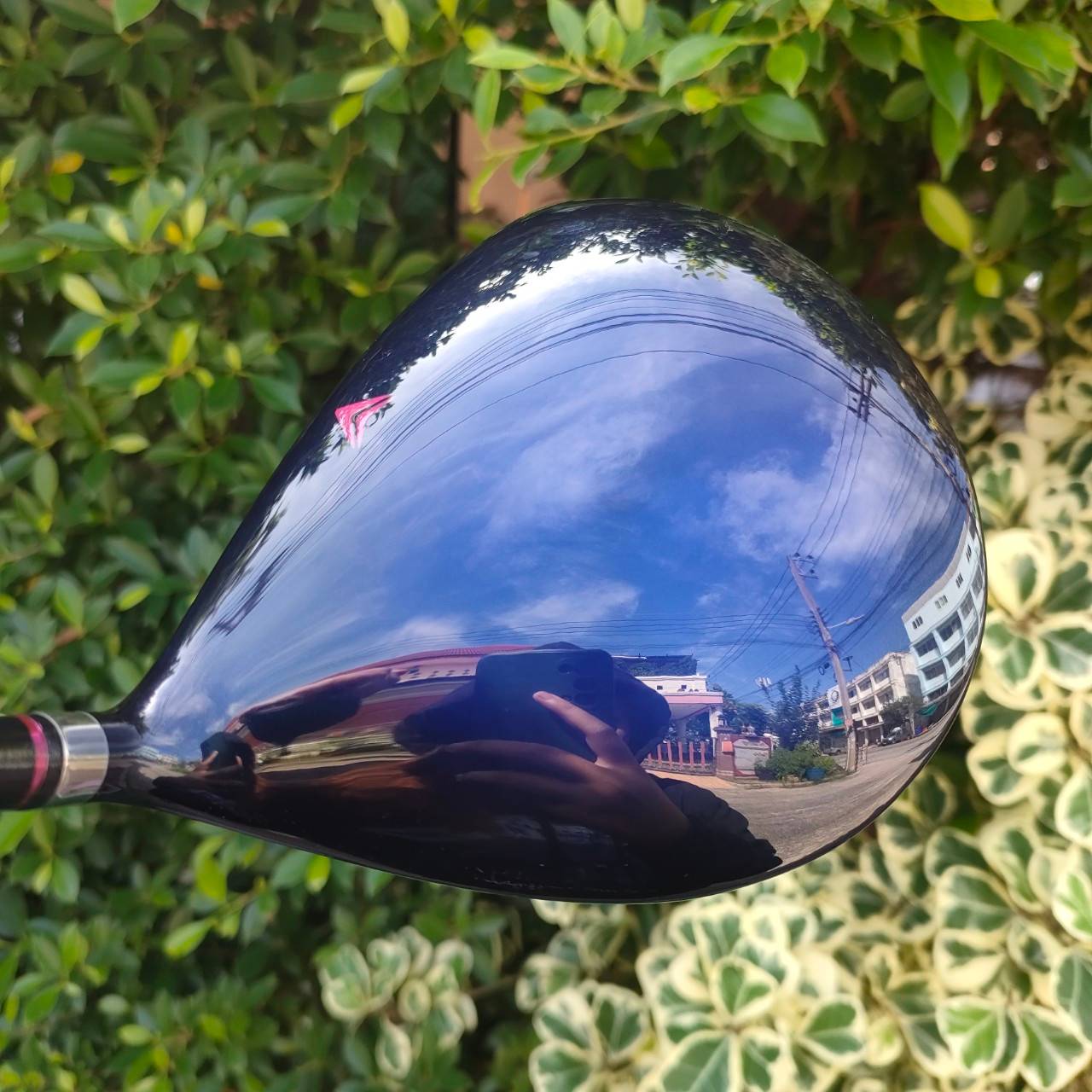 **ไม้กอล์ฟสำหรับผู้หญิง** รุ่นใหม่และยอดนิยมสูงสุด!! SET KASCO DIMPALS G7 LADY สภาพสวยนางฟ้า ชุดกอล์ฟพรีเมี่ยมญี่ปุ่น!! ไม้กอล์ฟมือสอง ของแท้ BY NakaraLuxurious