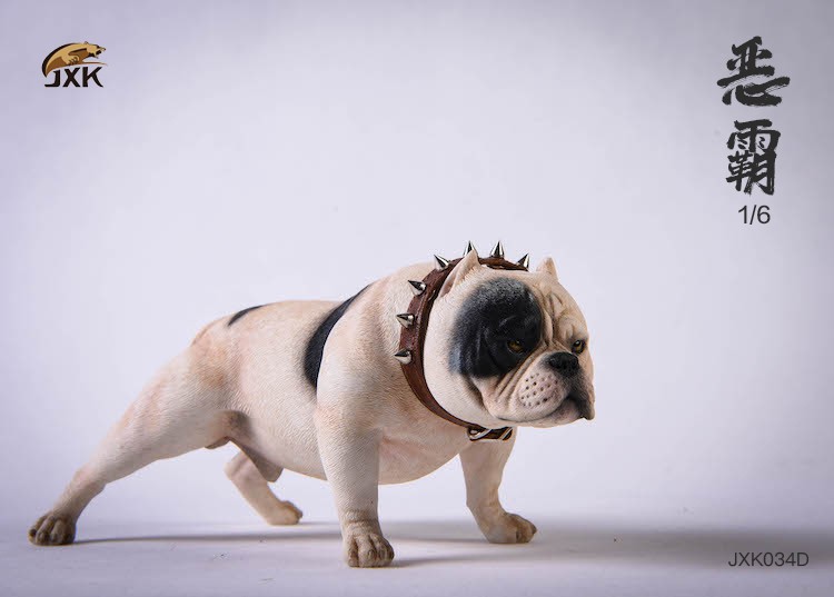[สั่งจอง] JXK studio JXK034 A/B/C/D/E/F 1/6 : American Bully Pitbull Dog