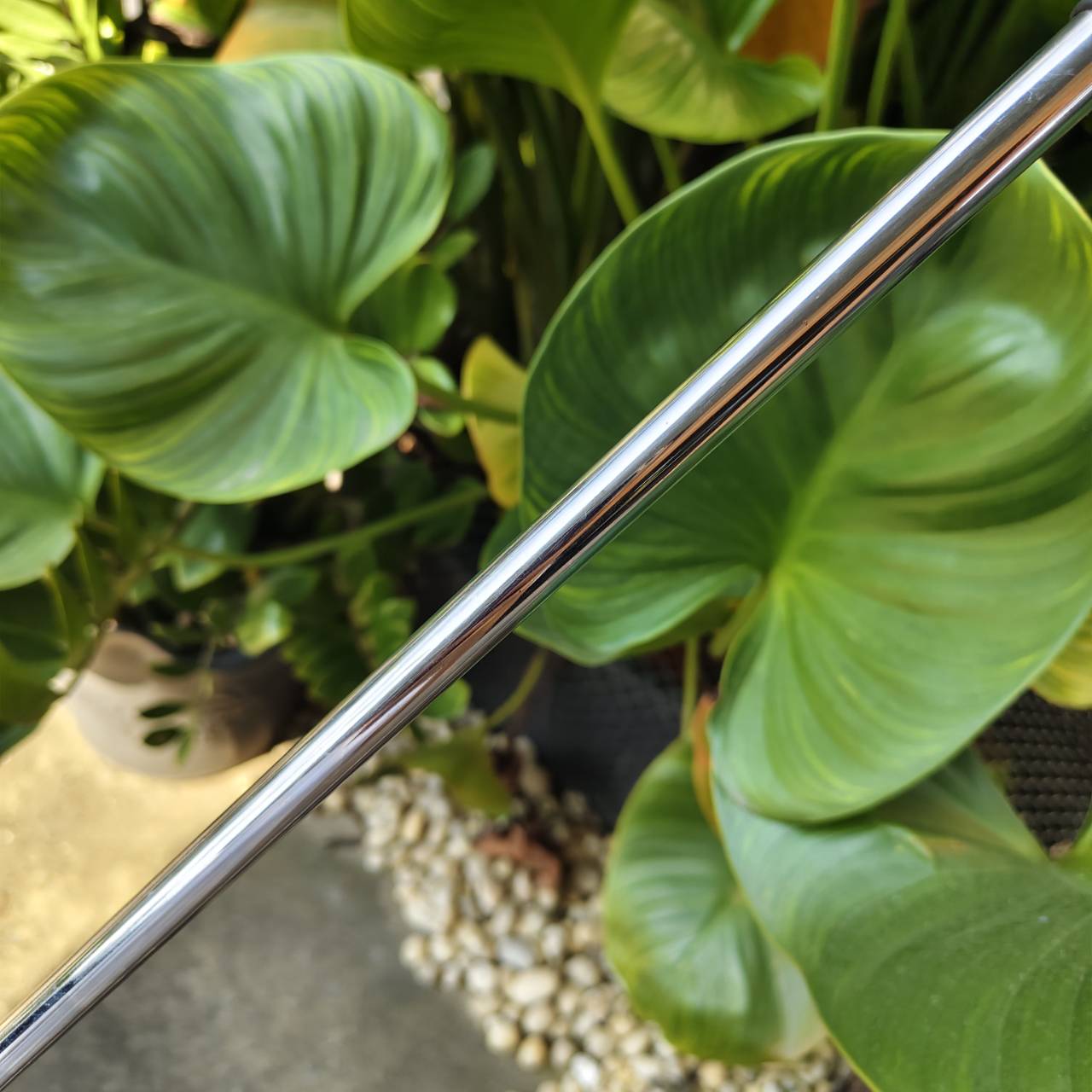 PUTTER ODYSSEY TRI-HOT #1 🔥 ความยาว 34 นิ้ว — รุ่นดัง ฟีลลิ่งยอดนิยม!