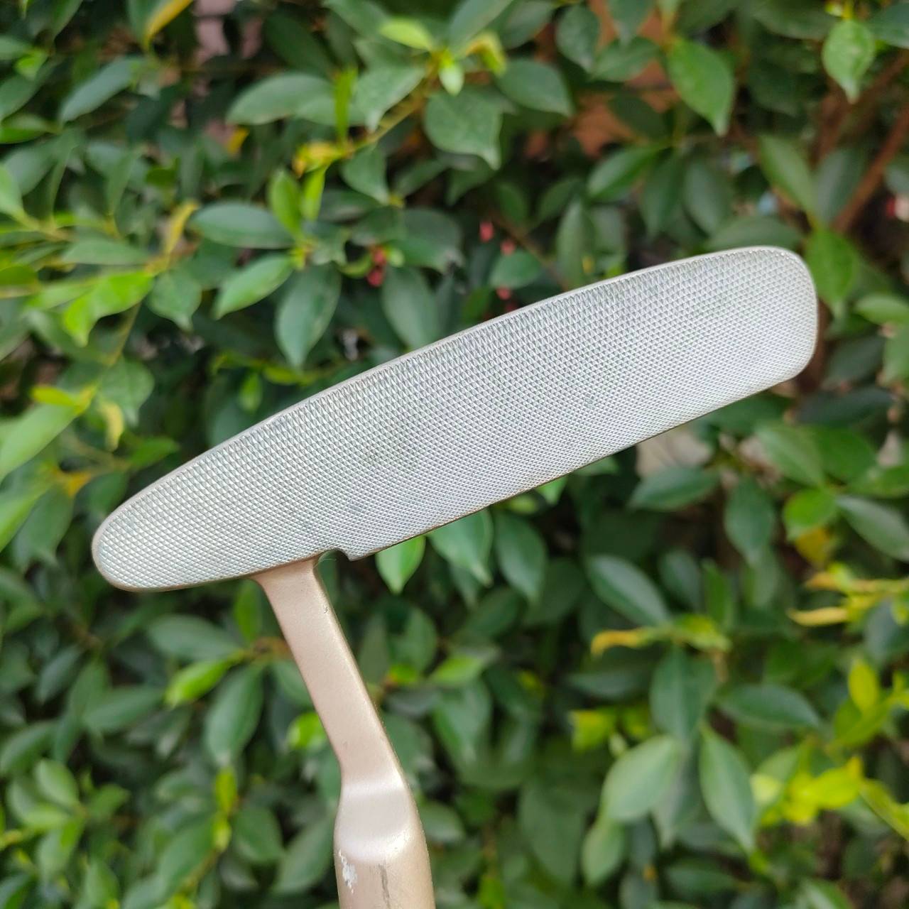 ** ไม้กอล์ฟสำหรับเด็ก ** PUTTER LA JOLLA 120 CLUB JUNIOR ความยาว 30 นิ้ว ก้าน SUPERFLEX