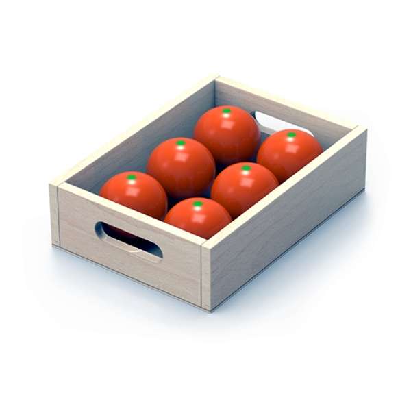 ชุดจำลองผักและผลไม้ 10 ชนิด ของเล่นเสริมพัฒนาการ, ของเล่นเด็กอนุบาล, สื่อการสอนเด็กอนุบาล,พร้อมส่ง