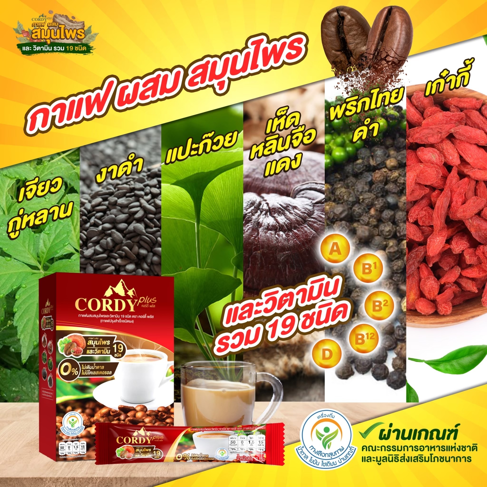 Cordy Plus Coffee, กาแฟคอร์ดี้พลัส, กาแฟ อ.วิโรจน์, กาแฟสุนารี, กาแฟ อ.ยิ่งศักดิ์