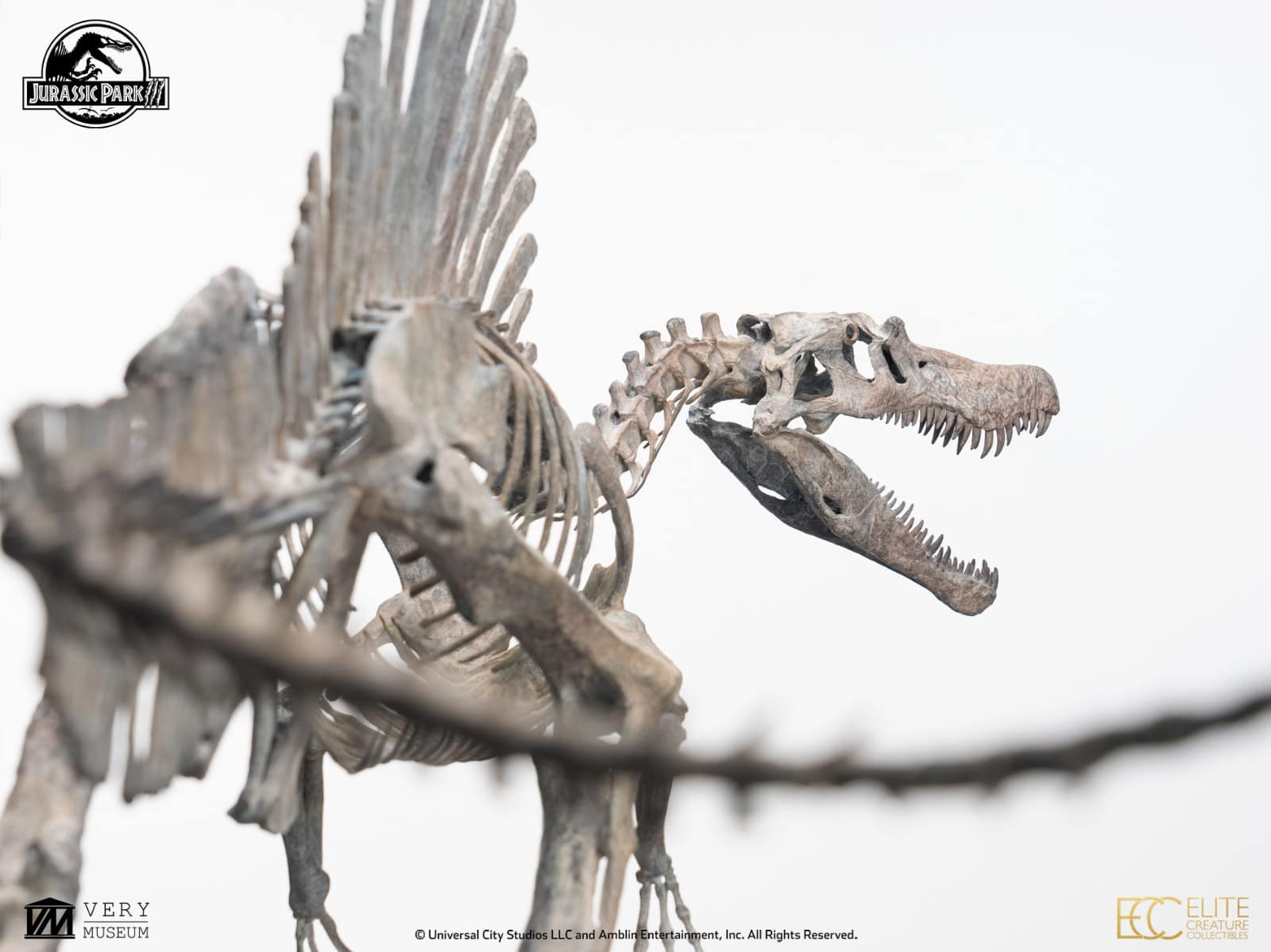[สั่งจอง]ECC : Bronze Spinosaurus Skeleton (Jurassic Park III)