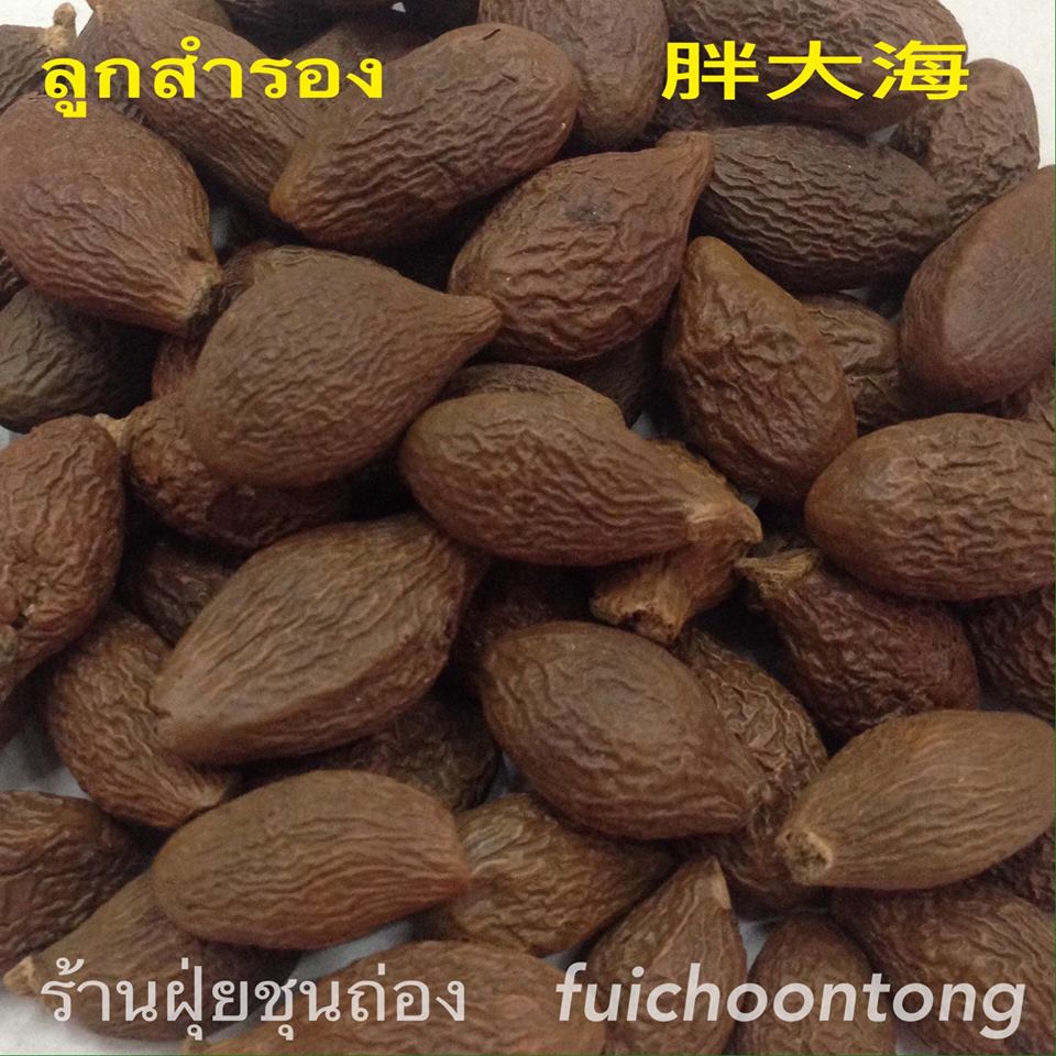 ลูกสำรอง