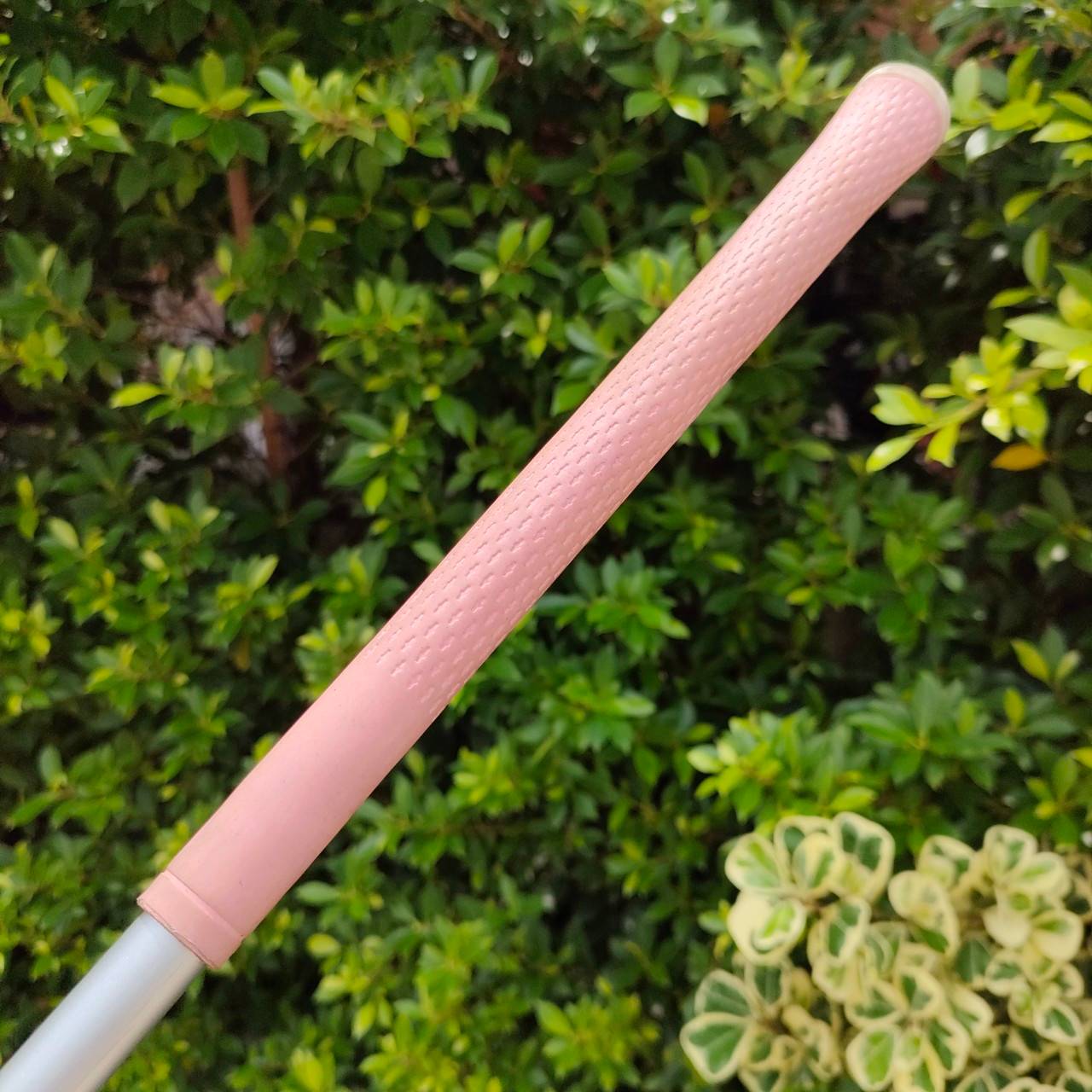 **ไม้กอล์ฟสำหรับผู้หญิง** DRIVER CLEVELAND HIBORE องศา 11.5 ก้าน FIRESF FLEX L รุ่นนี้ตีง่ายมาก กระดองแบบพิเศษ ลูกจะลอยง่ายมาก!! ไม้กอล์ฟมือสอง ของแท้ BY NakaraLuxurious