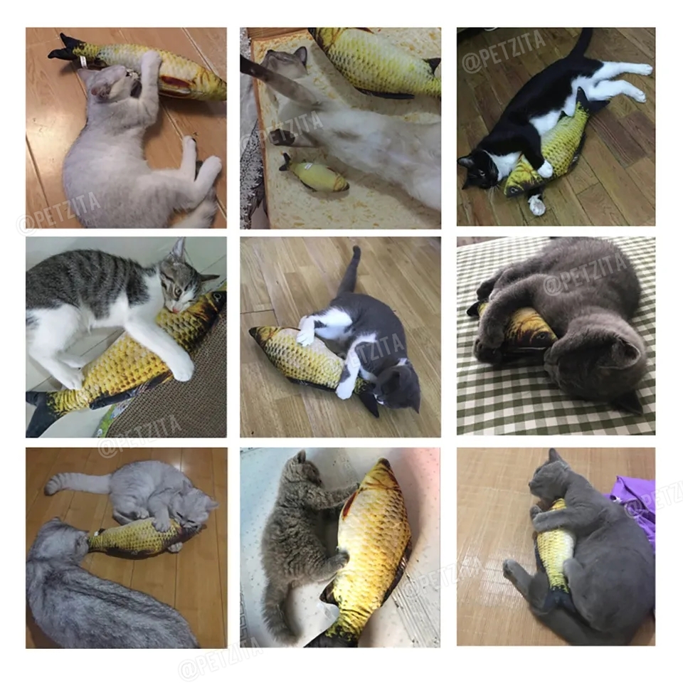 🇹🇭พร้อมส่ง🇹🇭 ตุ๊กตาปลาแคทปนิป 🐟🐠🦈 ยัดในผสมไส้แคทนิป หญ้ากัญชาแมว