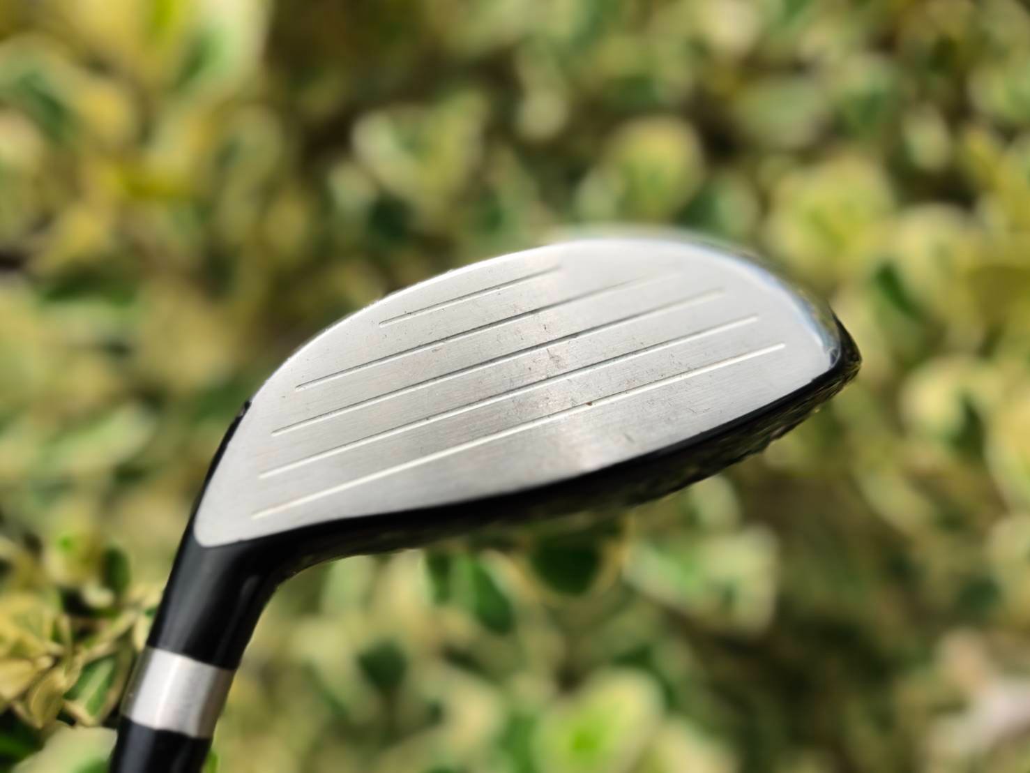 FW3 PING G15 องศา 15.5 ก้าน TFC 149 F FLEX R