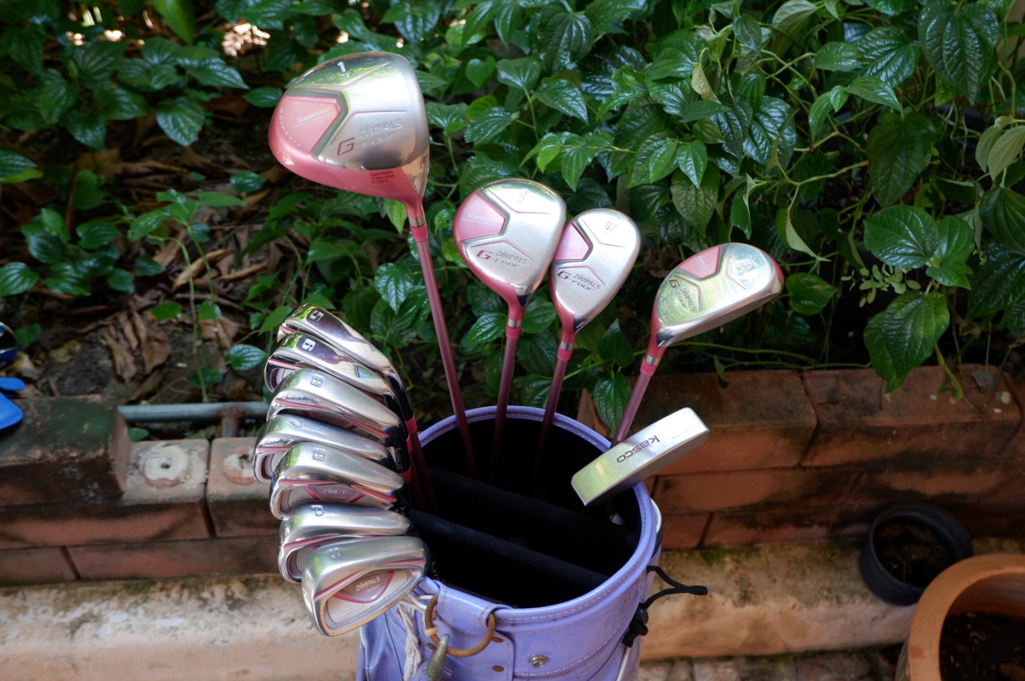 FUll SET KASCO DIMPALS G-FOUR