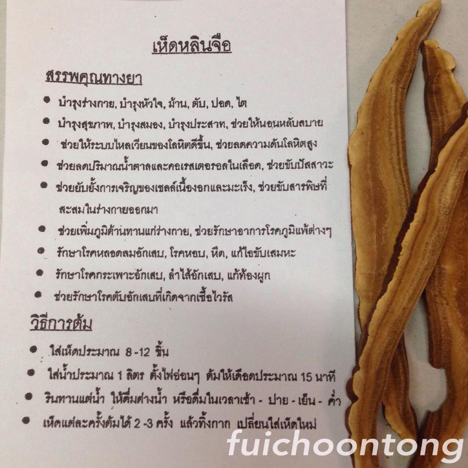 เห็ดหลินจือ