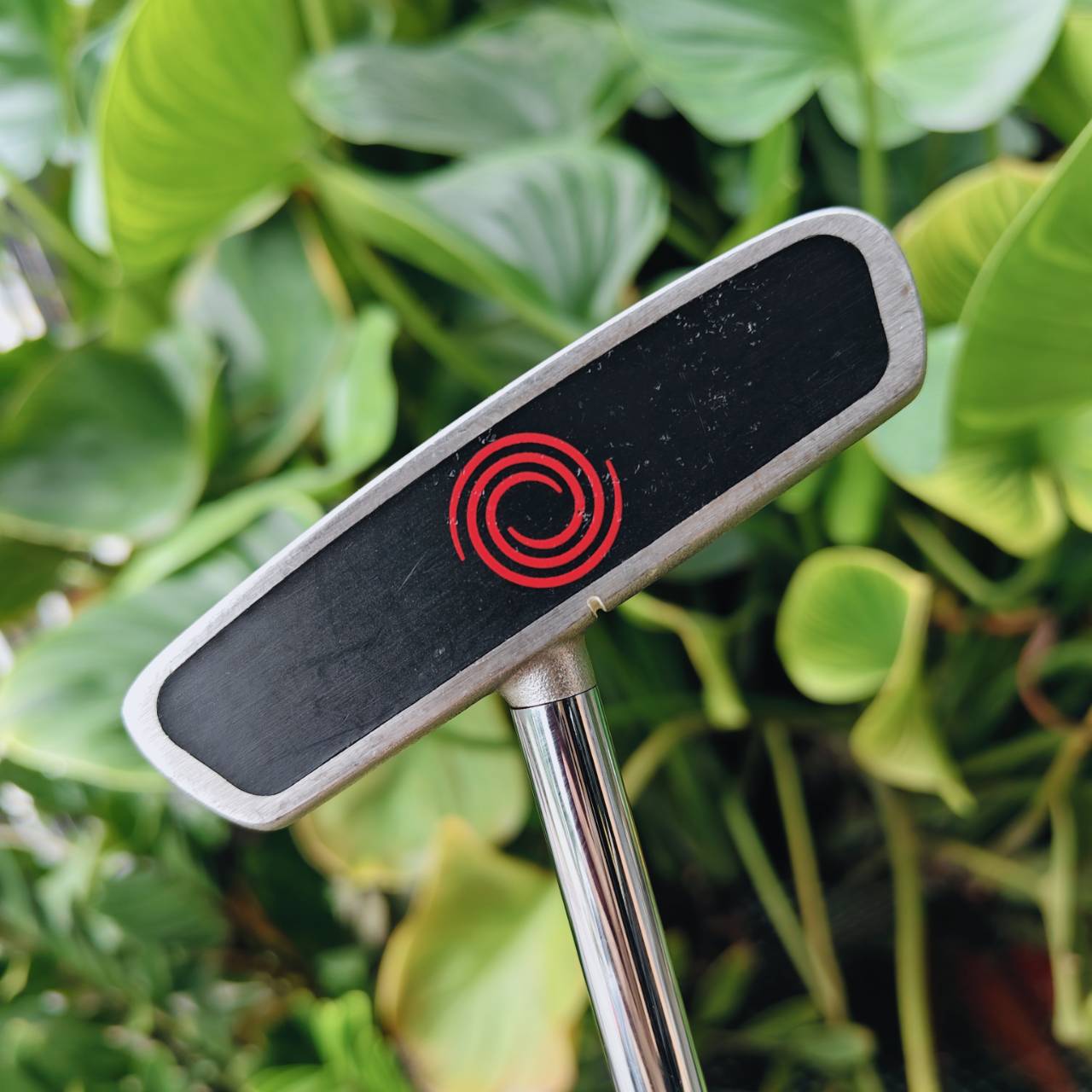PUTTER ODYSSEY DUAL FORCE 2 #5 CS 34 นิ้ว | Center Shaft – ของดีที่นักพัตต์ต้องมี!