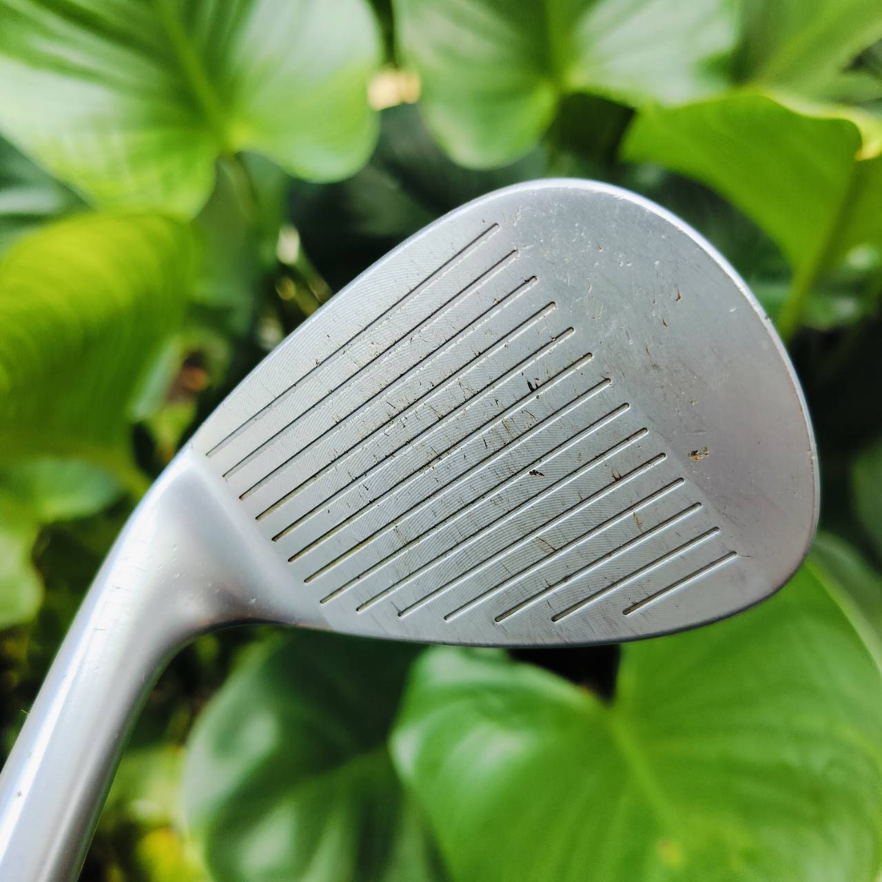 WEDGE HONMA W105P องศา 56 BOUNCE 9 ก้าน NSPRO 950 FLEX R เป็น WEDGE FORGED พรีเมี่ยมญี่ปุ่น ไม้กอล์ฟพรีเมี่ยมมือสอง ของแท้ By NakaraLuxurious
