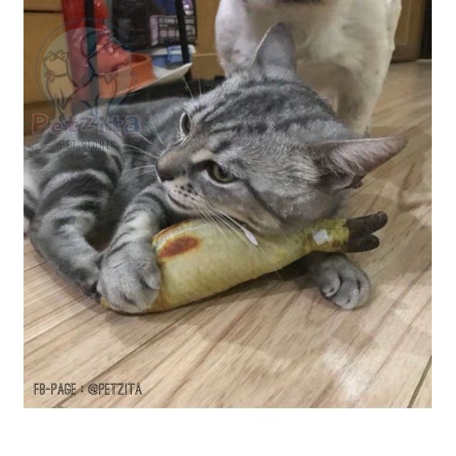 🇹🇭พร้อมส่ง🇹🇭 ตุ๊กตาปลาแคทปนิป 🐟🐠🦈 ยัดในผสมไส้แคทนิป หญ้ากัญชาแมว