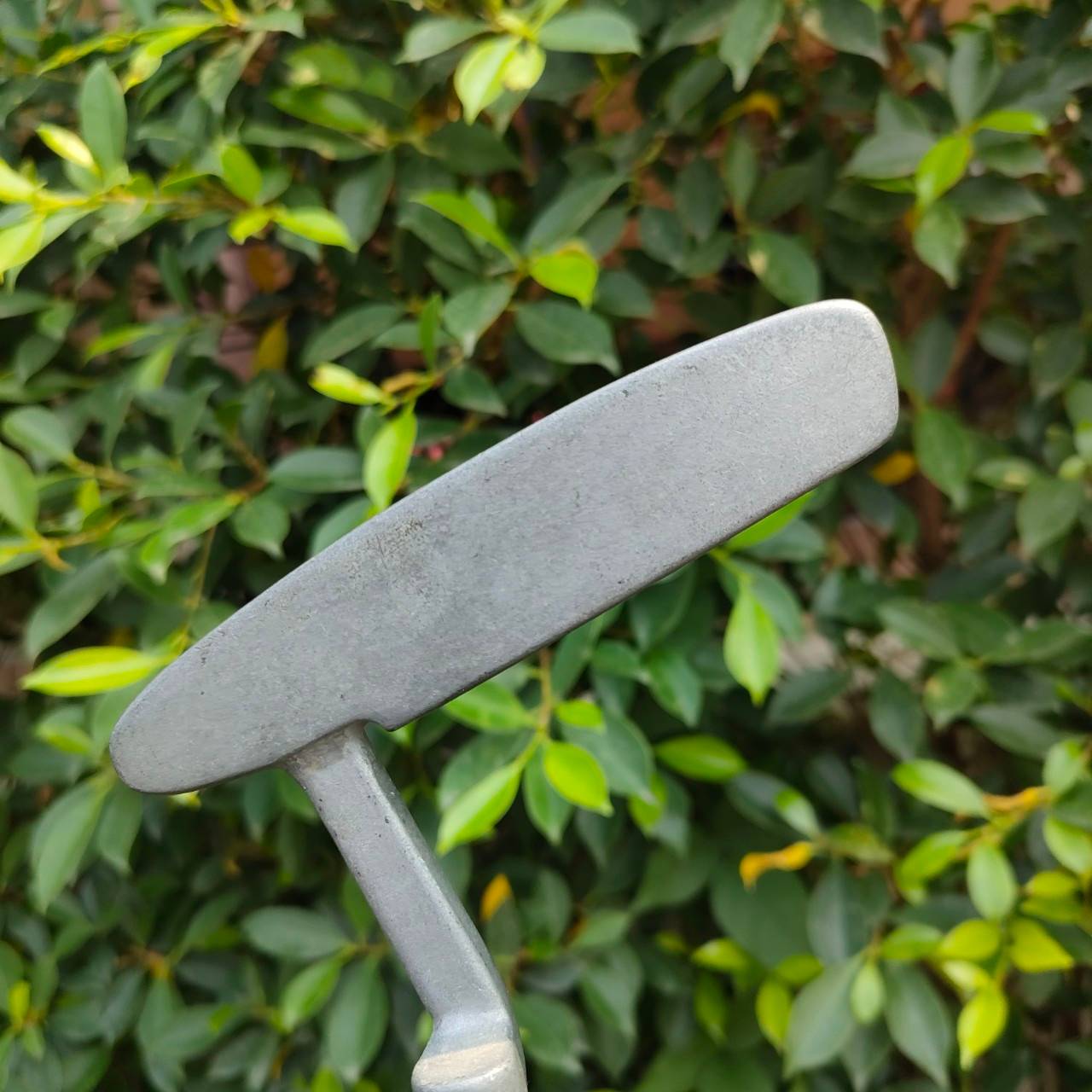 PUTTER WIDE SWEET SPOT ERIA ความยาว 34 นิ้ว ทรงสตูดิโอ น้ำหนักดีครับ