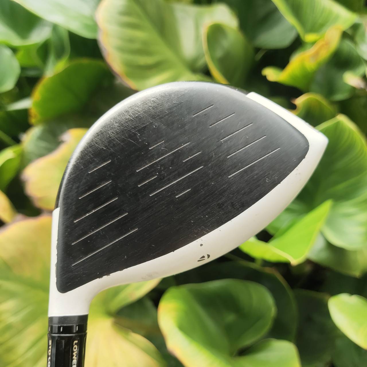 Driver TaylorMade R11 – Loft 9° ดีไซน์หัวขาวสุดโดดเด่น พร้อมระบบปรับแต่งได้ทุกมุม!