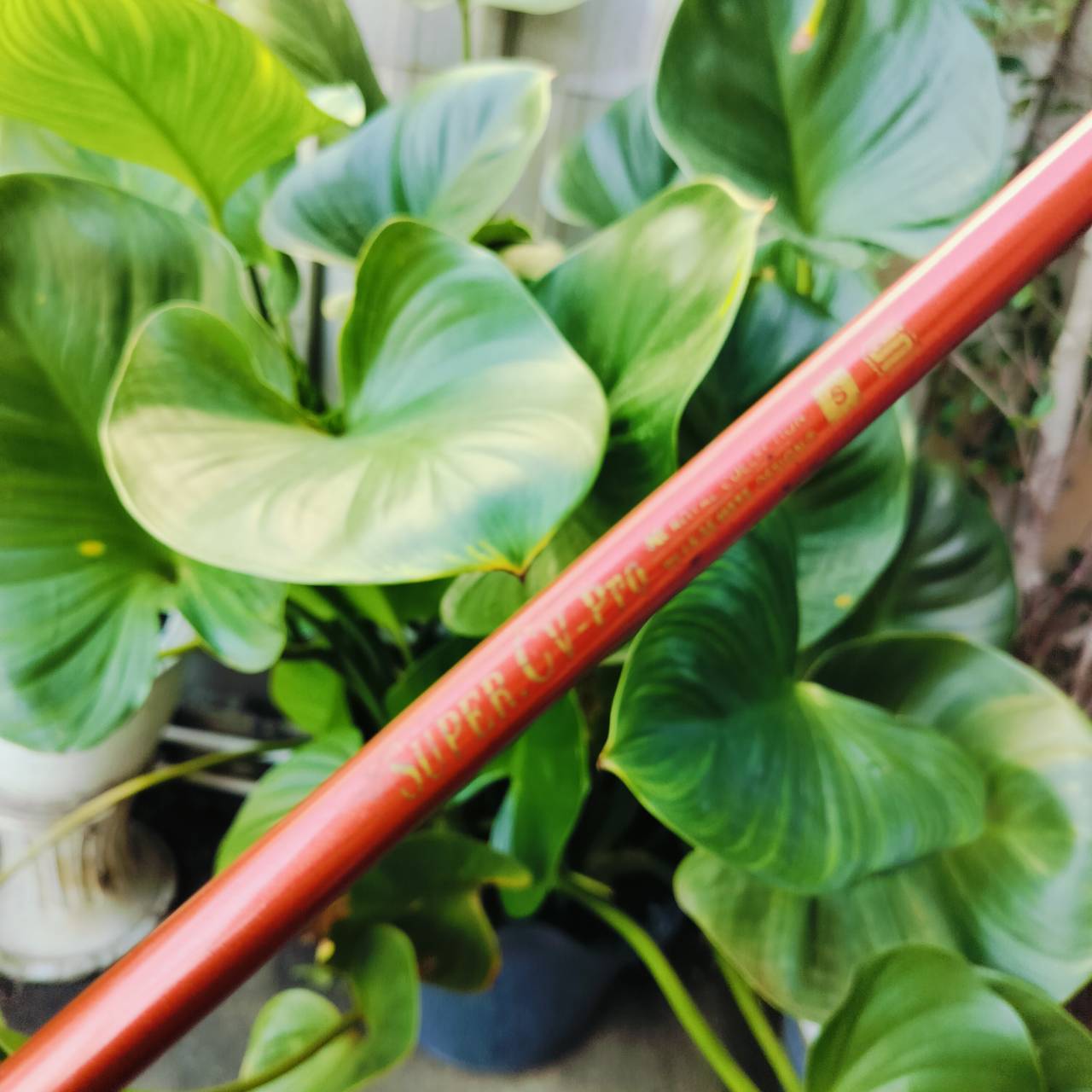 เหล็ก 2 ** หายากมาก ** ROYAL COLLECTION SUPER CV Ti-101 {19} วัสดุไทเทเนี่ยม ภาพในกลวง มี CAVITY ด้านใน เป็นไม้พรีเมี่ยมญี่ปุ่น คุณภาพสูงมาก ไม้กอล์ฟพรีเมี่ยมมือสอง ของแท้ By NakaraLuxurious