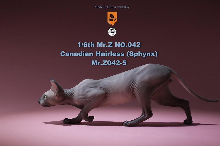 [สั่งจอง]แมวสฟิงก์ แมวน้อยขนกลับด้าน 1/6 Mr. Z Animal Model No.42: 1/6th Canadian Hairless (Sphynx)