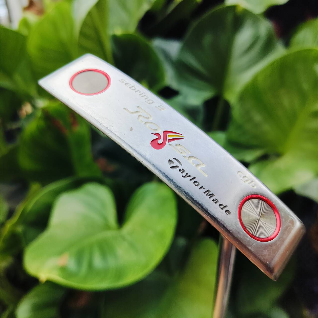 Putter Taylormade Rossa Sebring 3 CGB รุ่นเด็ดสุดๆอีกหนึ่งรุ่นในตระกูล ROSSA หน้า agsi+ เกาะไลน์มากๆ ไม้กอล์ฟพรีเมี่ยมมือสอง ของแท้ By NakaraLuxurious