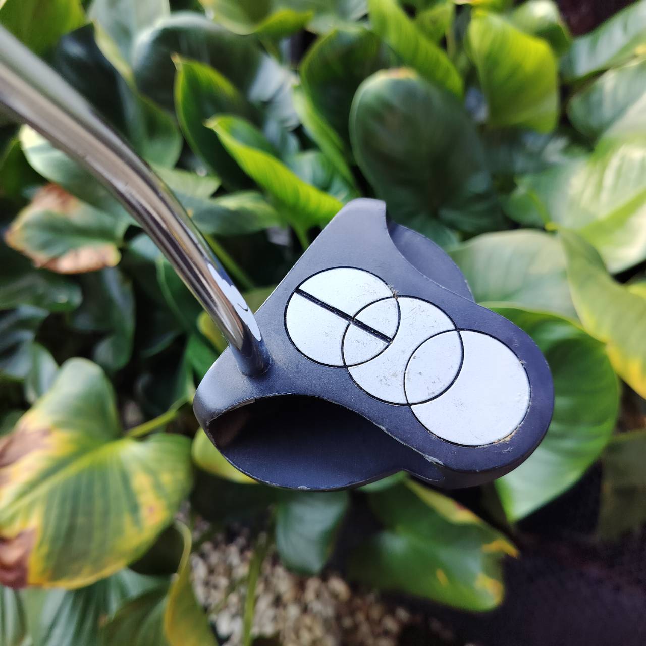 ไม้กอล์ฟครบชุด PRO KENNEX GRAND CANYON สภาพสวยงาม ให้ไม้มาได้ครบเครื่องมากๆ ดีทุกไม้ ถุงกอล์ฟ PROKENNEX เดิมตรงรุ่น และมี COVER ให้ครบทั้งชุดค่ะ ไม้กอล์ฟพรีเมี่ยมมือสอง ของแท้ By NakaraLuxurious