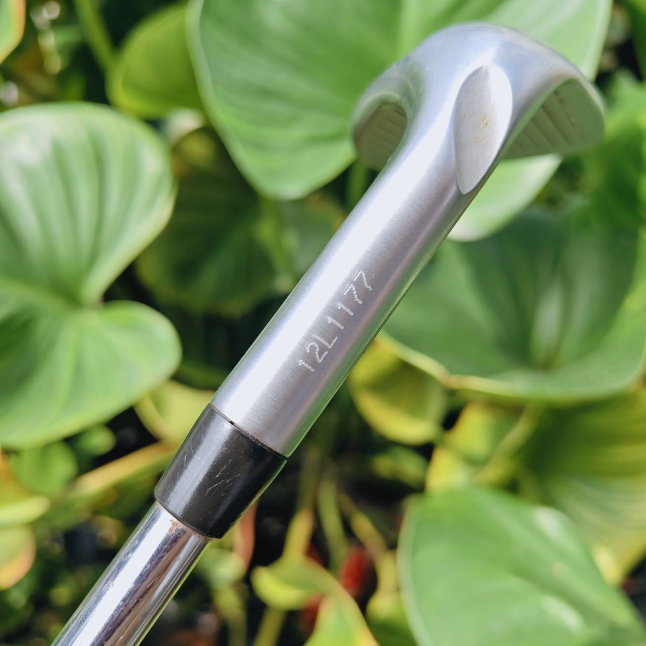 WEDGE PING TOUR-W – 60° | Bounce 10° ความแม่นยำรอบกรีนที่คุณต้องลอง!