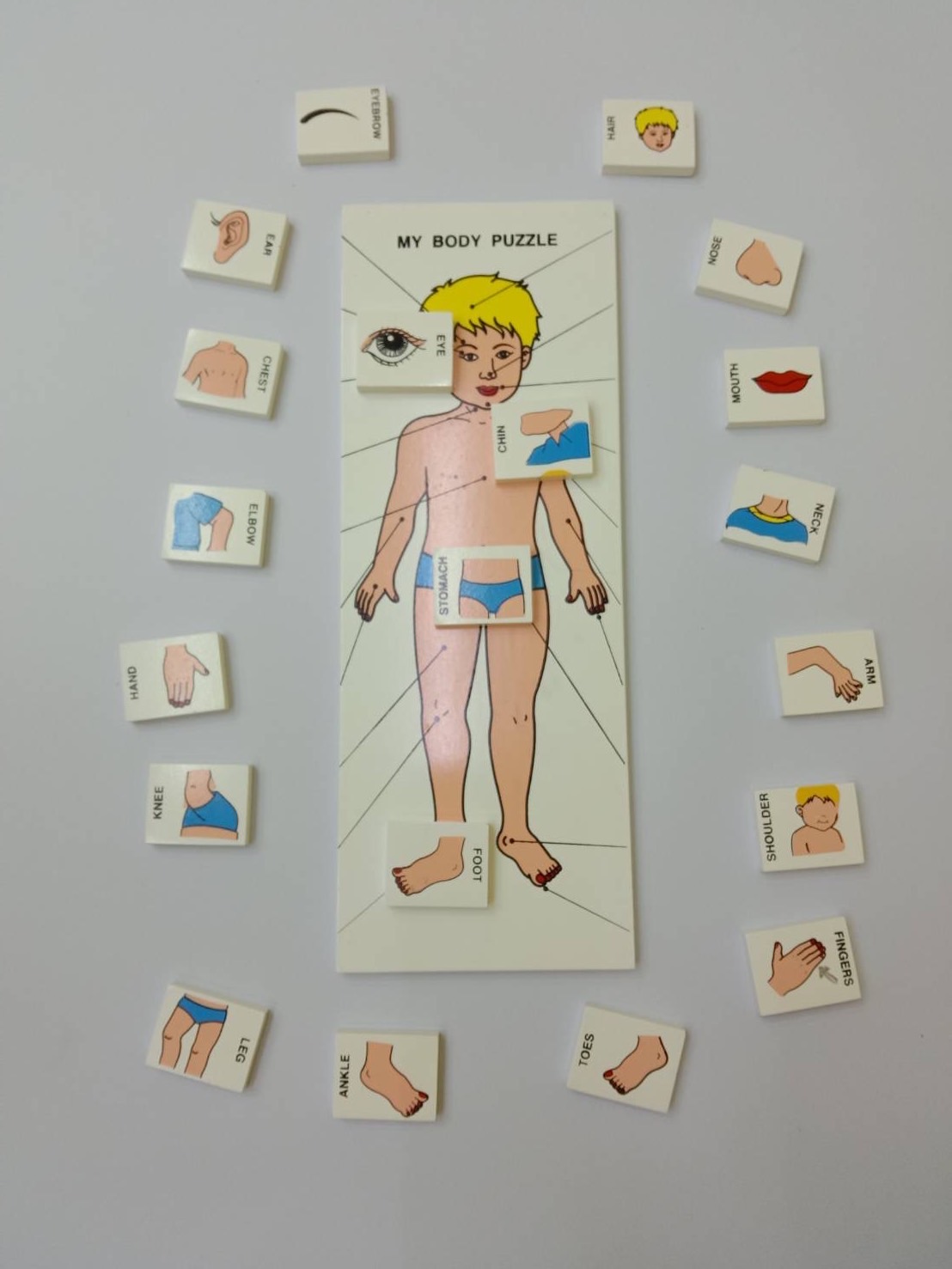 จับคู่ร่างกายของฉัน (ภาษาไทย) , ของเล่นไม้, ของเล่นเสริมพัฒนาการ, ของเล่นเด็ก, สื่อการสอนเด็ก
