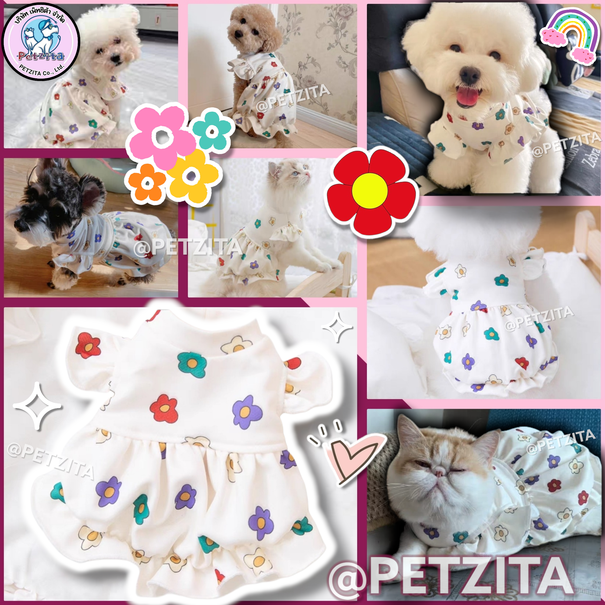 🇹🇭พร้อมส่ง🇹🇭🌼🌺🏵️ เดรสสีขาวครีม ลายดอกไม้หลากสี *ปลายงุ้มเข้า* น่ารักสุดๆ เสื้อผ้าสัตว์เลี้ยง ชุดสุนัข / หมา , แมว สำเนา