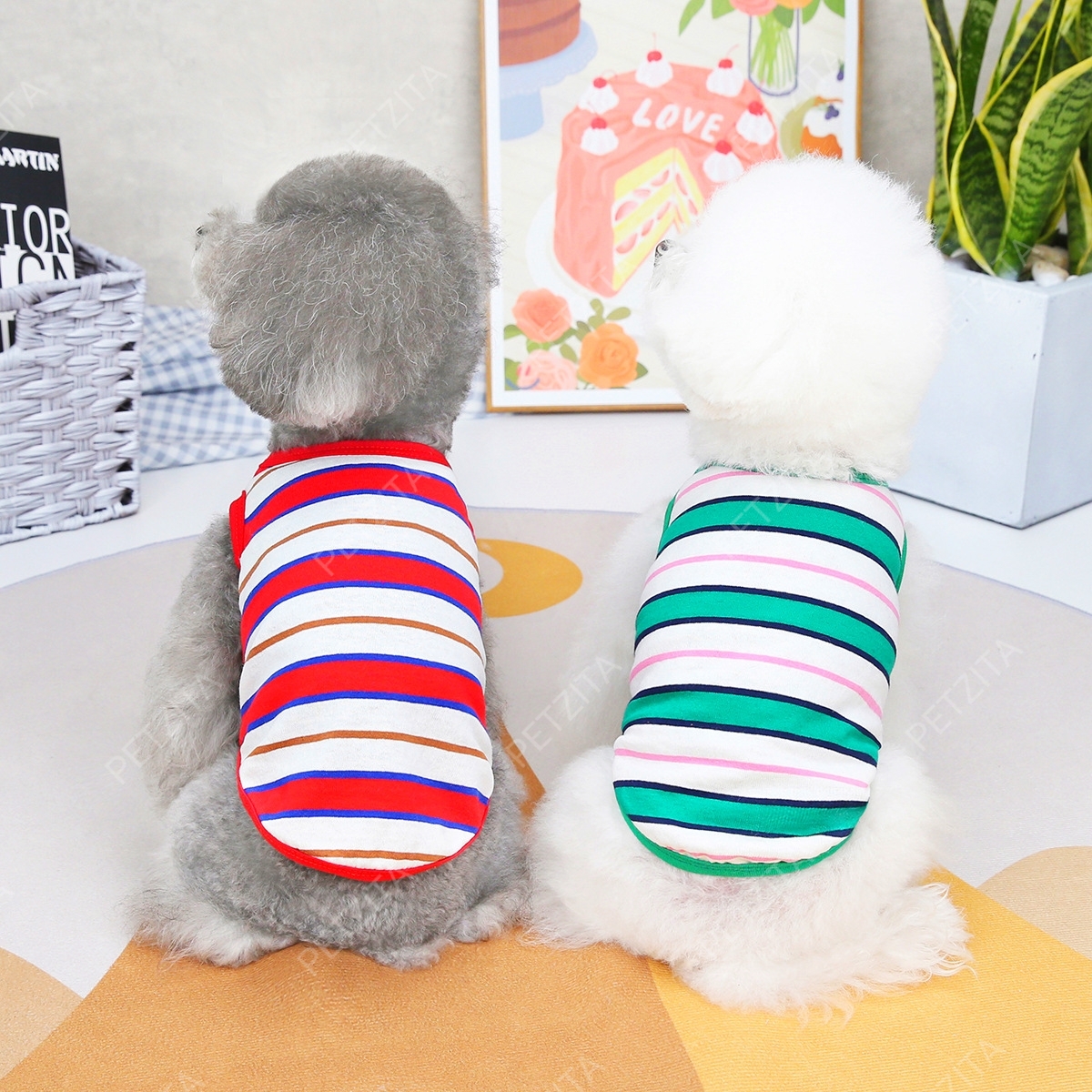 🇹🇭พร้อมส่ง🇹🇭 🐶🐱 เสื้อแขนกุดลายริ้ว สีสดใส น่ารัก ผ้าใส่สบาย for pet เสื้อผ้าสัตว์เลี้ยง สุนัข ชุดหมา ชุดแมว