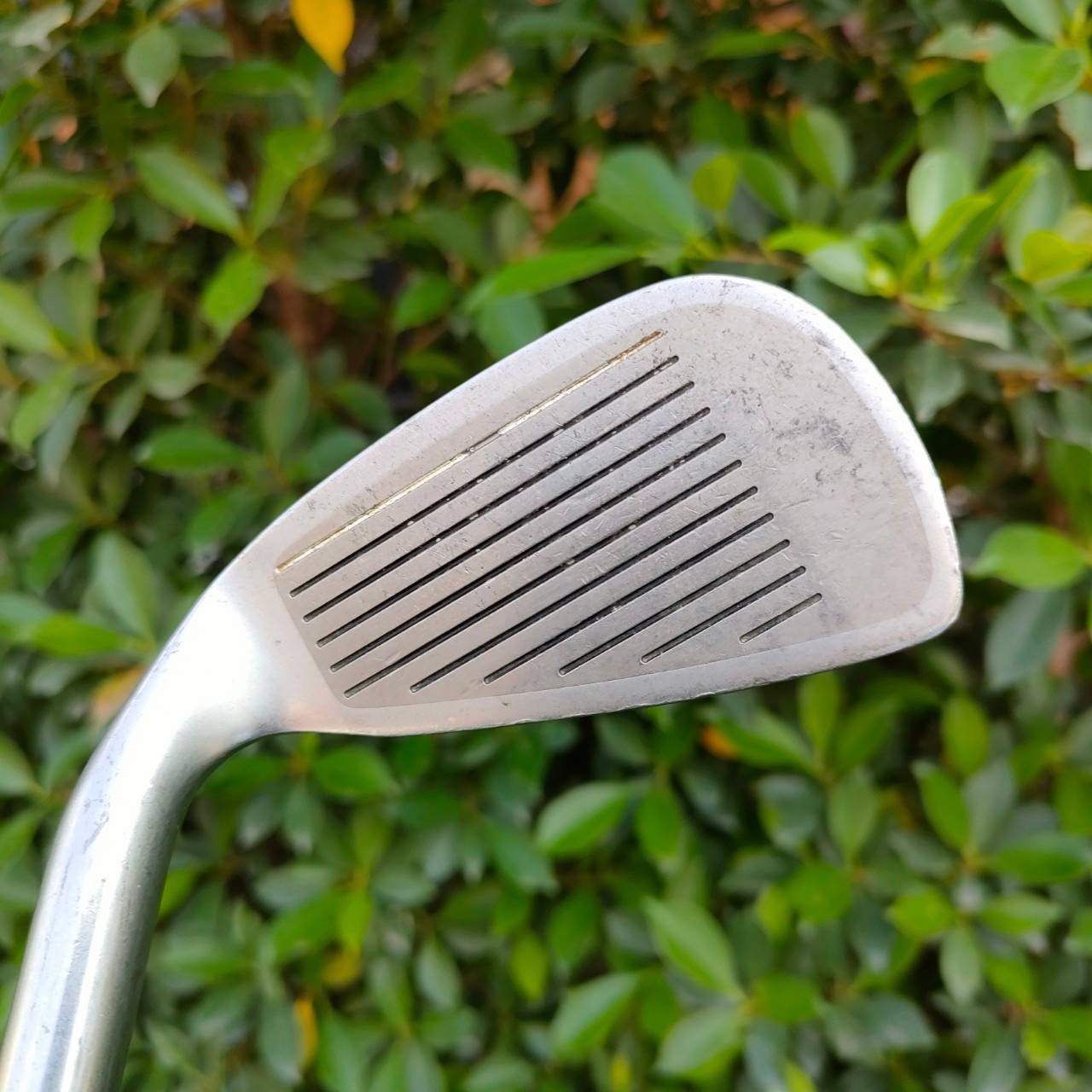 ชุดเหล็ก MARUMAN M301T CS มีเหล็ก 3-9 เเละ PW AW SW ก้าน CARBON FLEX R