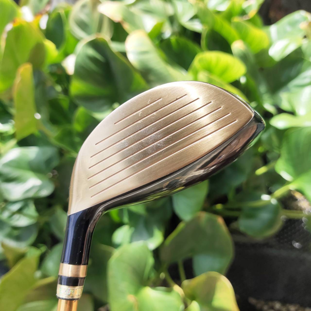 FW3 KASCO INDEED EX องศา 16 หน้าเด้ง!!! ใช้วัสดุ Maraging Steel พรีเมี่ยมญี่ปุ่น Hi-END