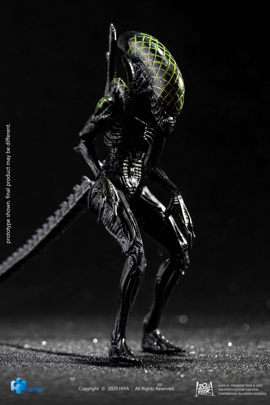[สั่งจอง]Hiya toys : 1/18 Scale : Alien /Predator