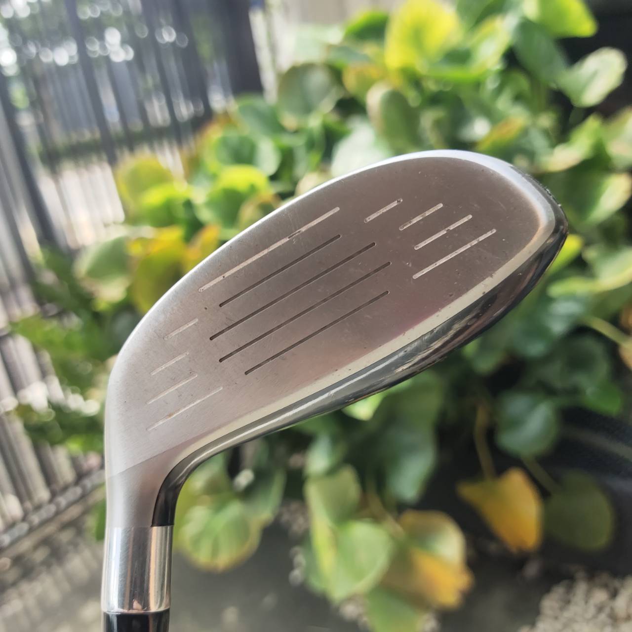 สำหรับซีเนียร์หรือผู้หญิง U3 VIQ CL Loft 22° แบรนด์ญี่ปุ่นคุณภาพสูง ตีง่าย แม่นกรีนระยะไกล