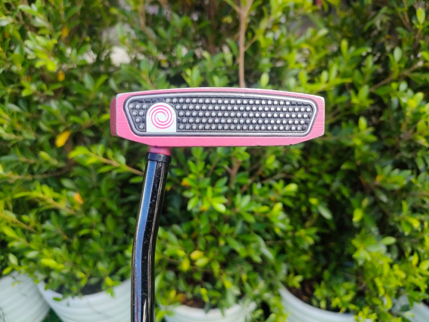 PUTTER O WORK PINK #7