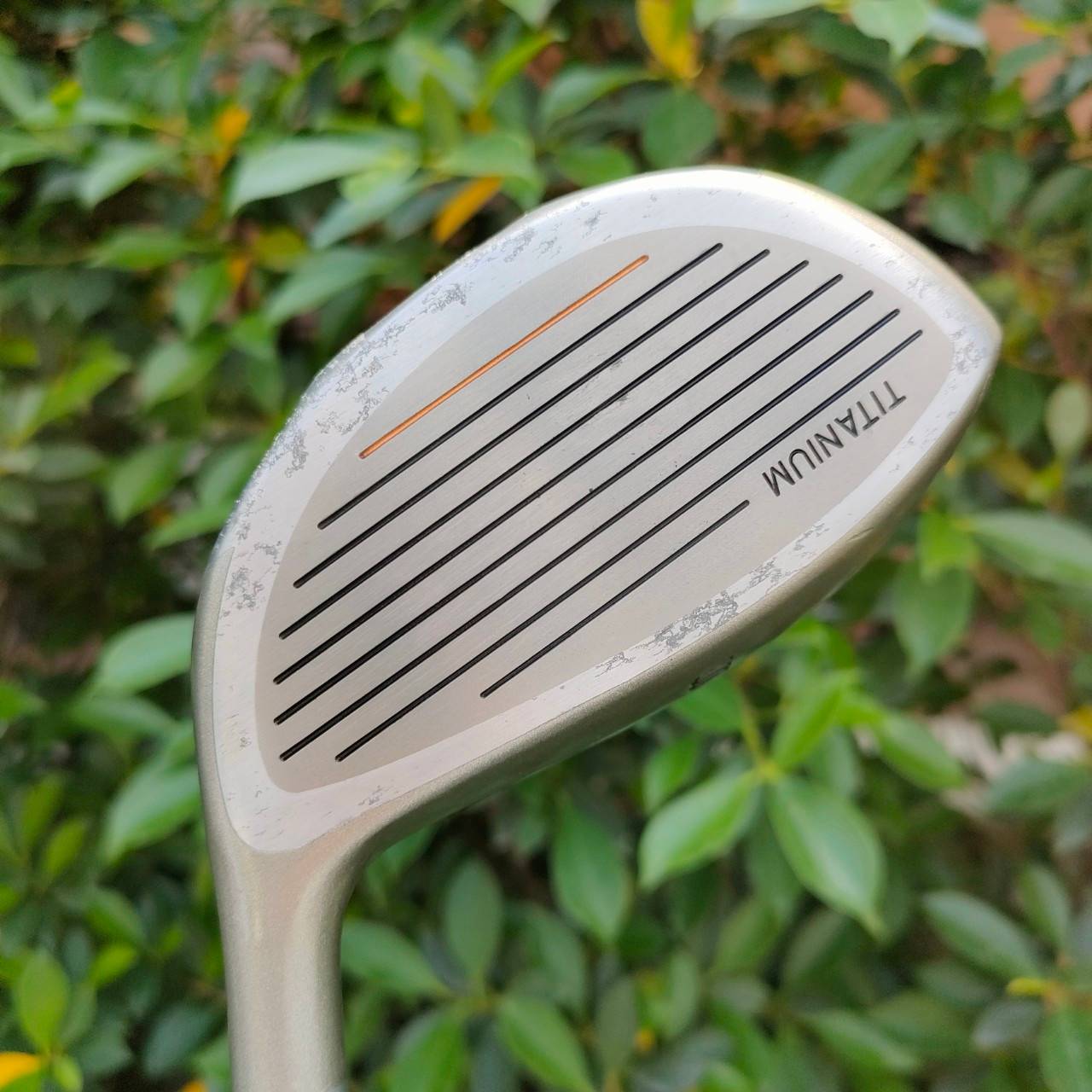 ** ไม้กอล์ฟครบชุดสำหรับผู้หญิง ** FULLSET WILSON POWERINSERT 1200 BIMETAL LADY
