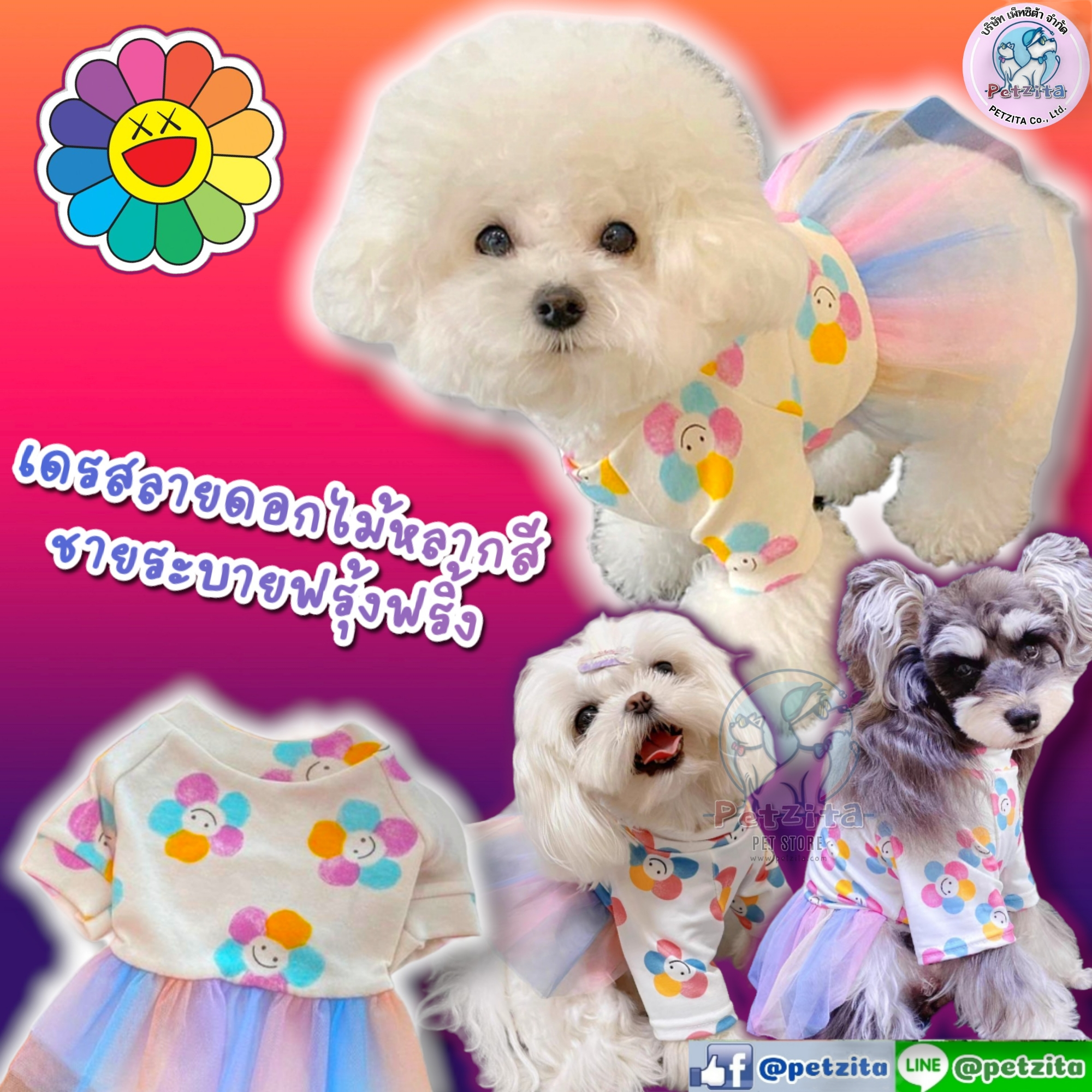 🇹🇭พร้อมส่ง🇹🇭 เดรสลายดอกไม้หลากสี แต่งระบายซีฟองฟรุ้งฟริ้งสีรุ้ง for pet เสื้อสุนัข ชุดหมา ชุดแมว