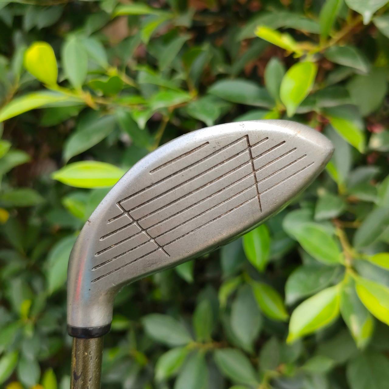 FW7 WINBO USA TOUR WORLD FAMOUS ก้าน WINBO FLEX S ตีแทนเหล็กยาวได้เลย