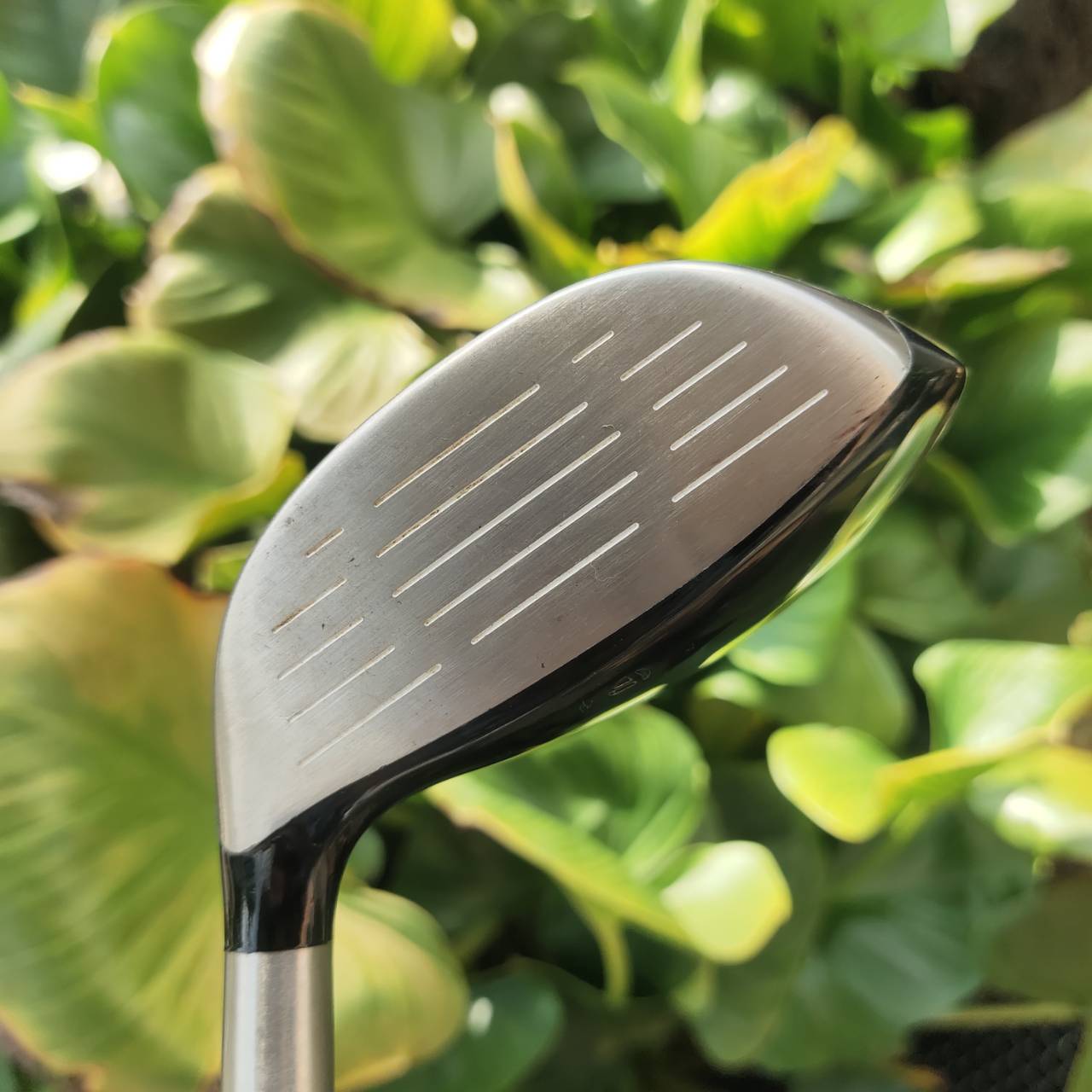 3W Taylormade r7 Ti ก้าน RE AX FLEX R หน้าเด้ง ลูกพุ่ง ตีง่าย เสียงป๊องลั่นแฟร์เวย์!