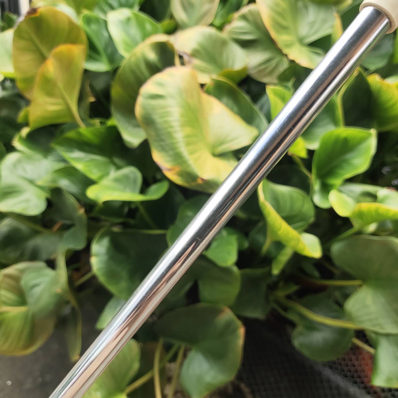 สำหรับคนถนัดซ้าย (Left Hand) PUTTER ODYSSEY TWO-BALL WHITE STEEL ความยาว 33 นิ้ว .