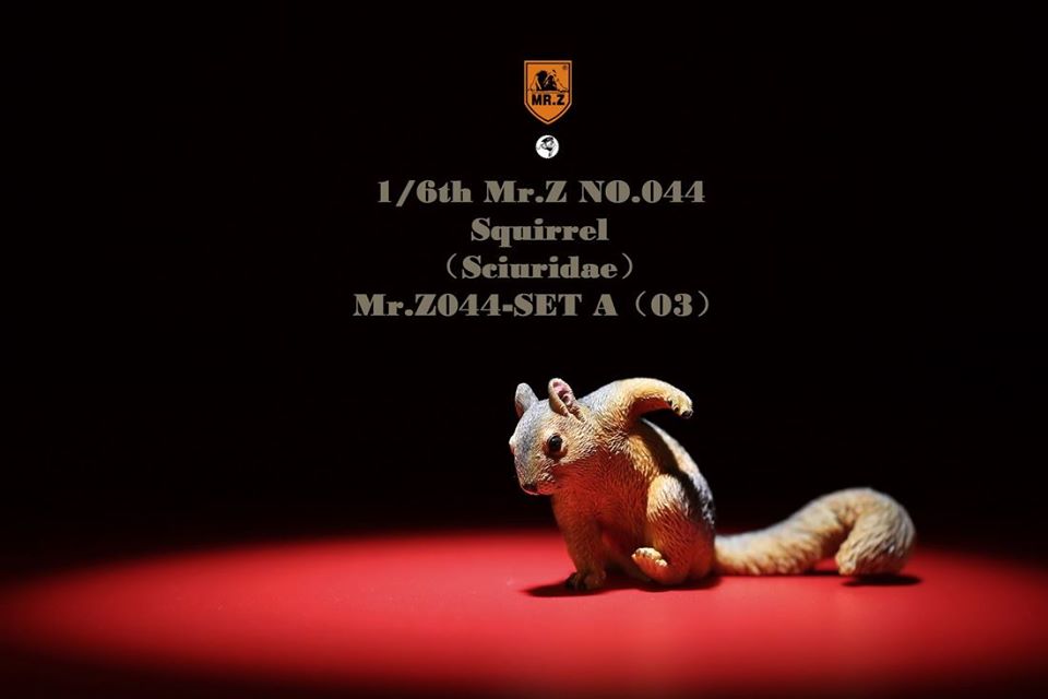 [สั่งจอง]Mr. Z Animal Model Mr.Z044 1/6th : Squirrell [Set A/B]
