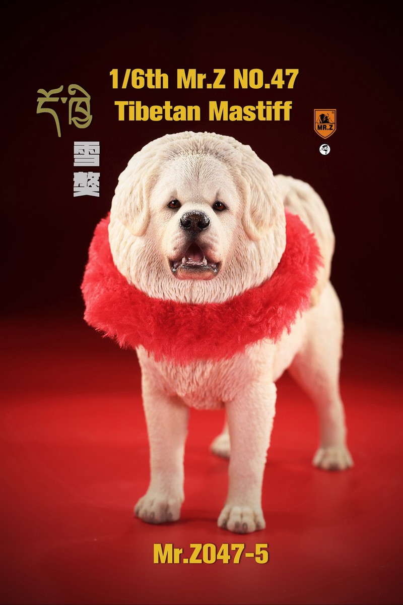 [สั่งจอง] MR. Z Animal Model MRZ047 1/6th Tibetan Mastiff