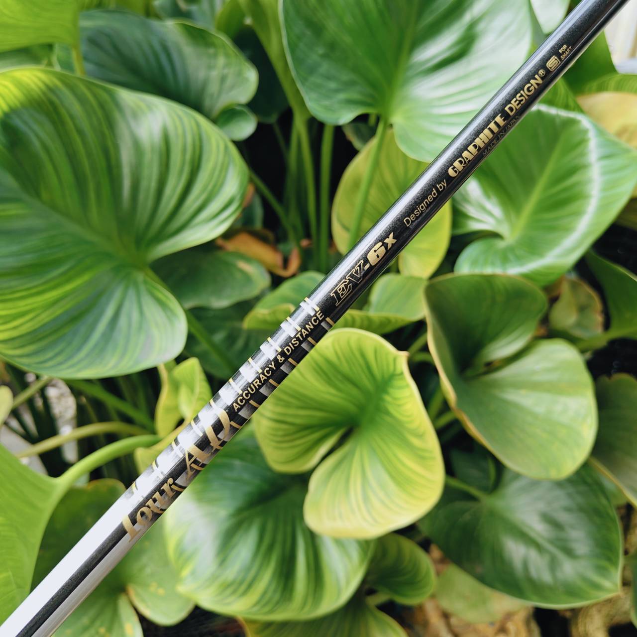 TOUR AD EV-6X – ก้านแรง ฟีลแน่น สำหรับนักกอล์ฟที่ต้องการ "ความแม่นระดับโปร"