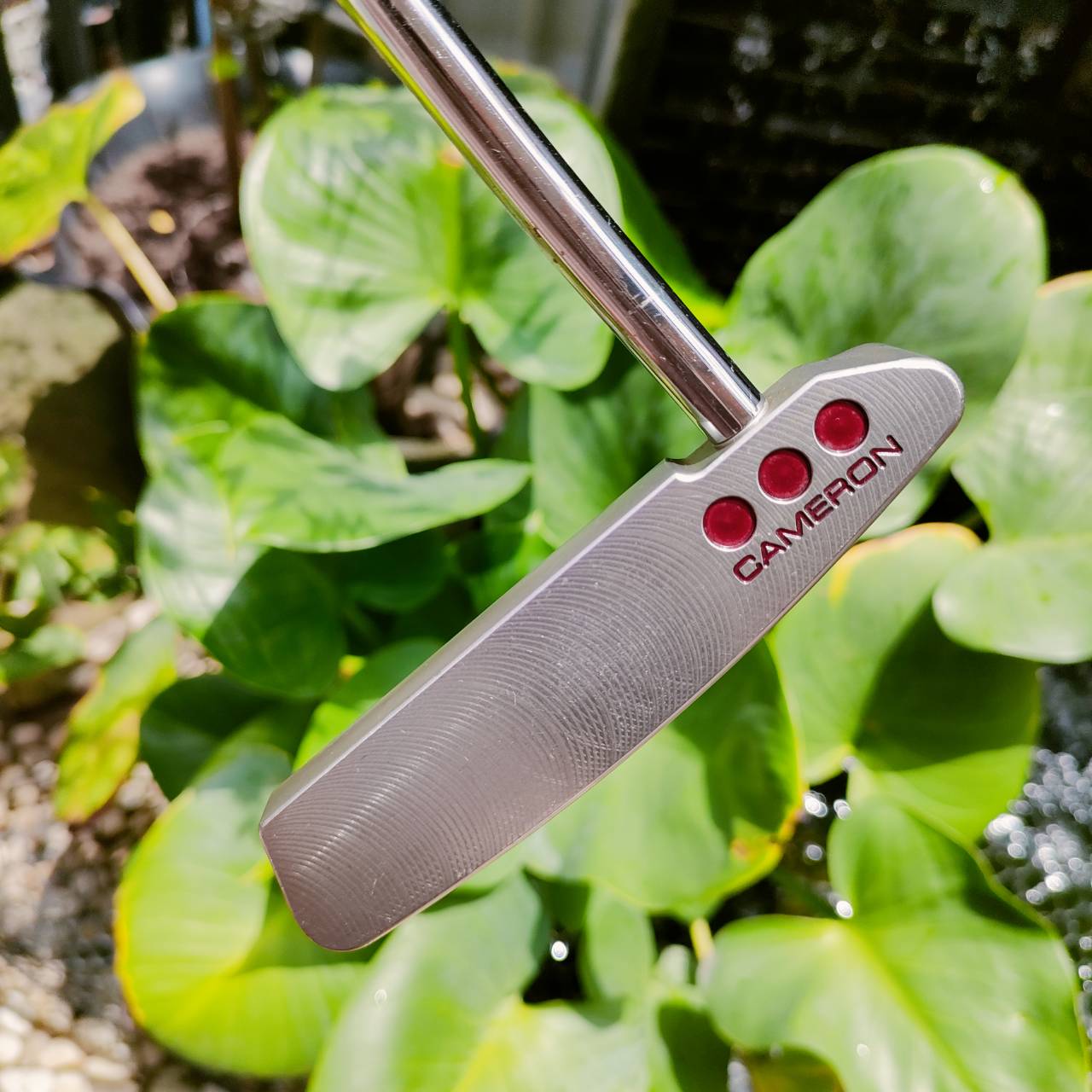 Cameron Studio Select Newport 2.7 พัตต์แบบคลีนๆสะอาดตา ออฟเซ็ตที่ดีสี่สุดของทรง STUDIO พัตเตอร์ยอดขายอันดับ 1 ตลอดกาล ไม้กอล์ฟพรีเมี่ยมมือสอง ของแท้ By NakaraLuxurious