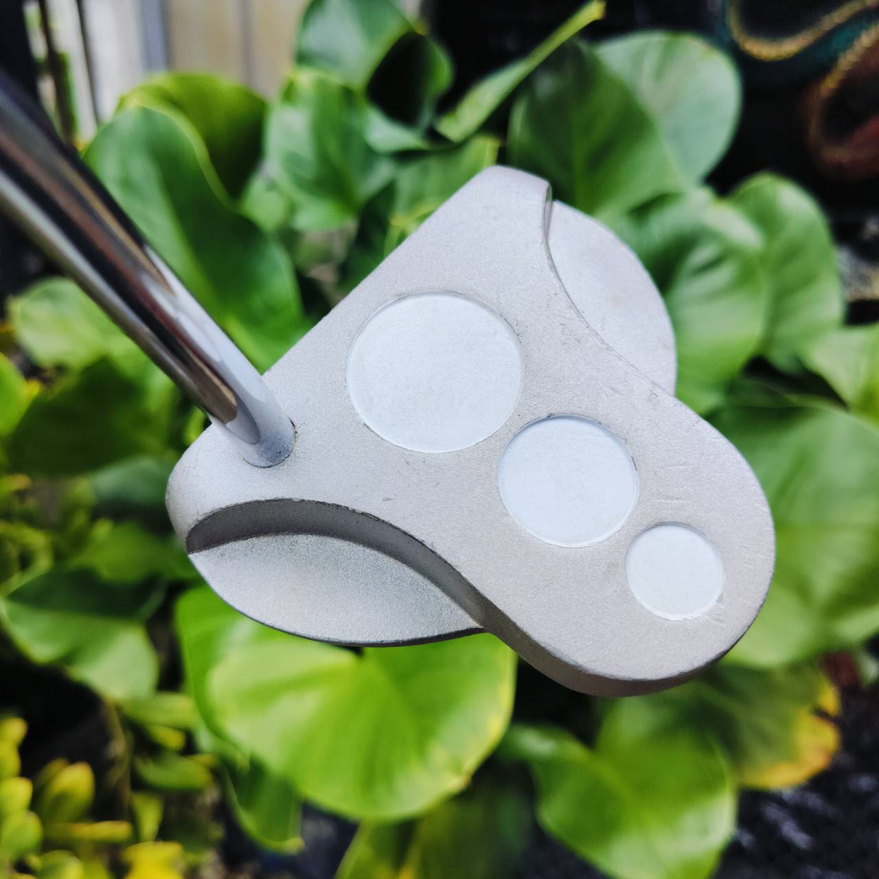 PUTTER PROKENNEX PK-31 ความยาว 34 นิ้ว แบบ 3 บอล เล็งง่ายมากกว่า 2 บอล ชดเชยสูง พัตต์ตรง บล๊านซ์ หน้าอินเซิร์ท พัตต์เกาะไลน์ดีมากเลยค่ะ ไม้กอล์ฟพรีเมี่ยมมือสอง ของแท้ By NakaraLuxurious