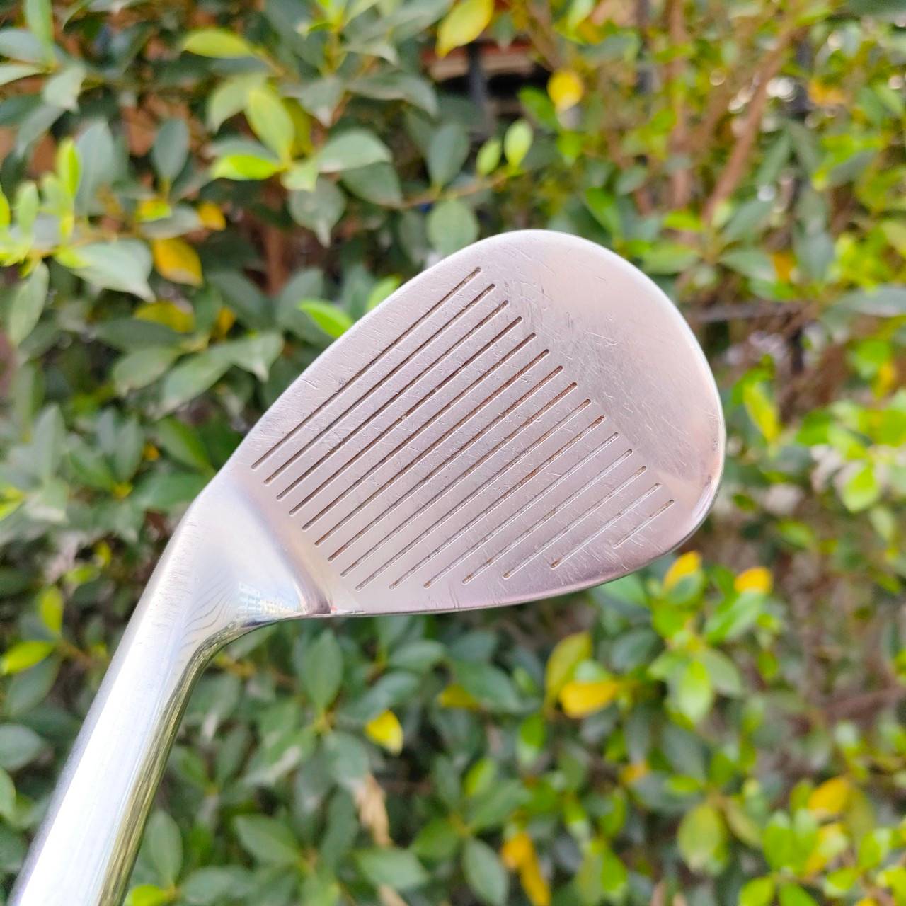 WEDGE CLEVELAND 900 FORM FORGED องศา 56 ก้าน PRECISION FCM 5.5 FLEX WEDGE วัสดุพรีเมี่ยม นุ่ม ตกหยุด