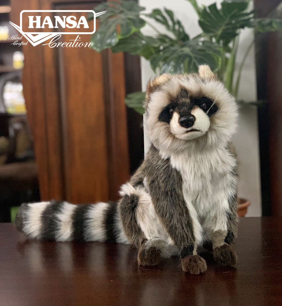 7493 Raccoon Sitting 31 cm.H