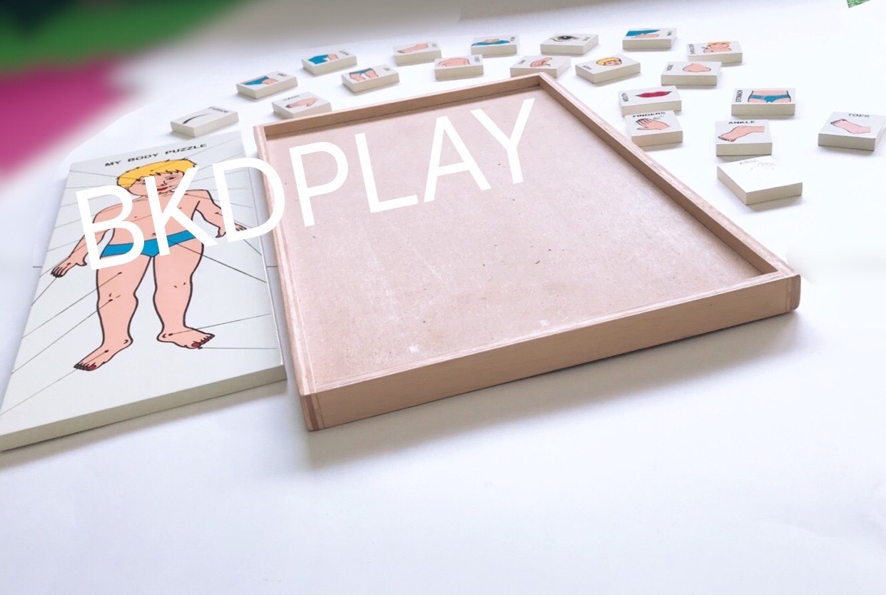 ของเล่น, ของเล่นเด็ก, จิ๊กซอว์, ตัวต่อ, จับคู่ร่างกายของฉัน (ภาษาอังกฤษ) , ของเล่นไม้, ของเล่นเสริมพัฒนาการ, ของเล่นเด็กอนุบาล, สื่อการสอนเด็กอนุบาล