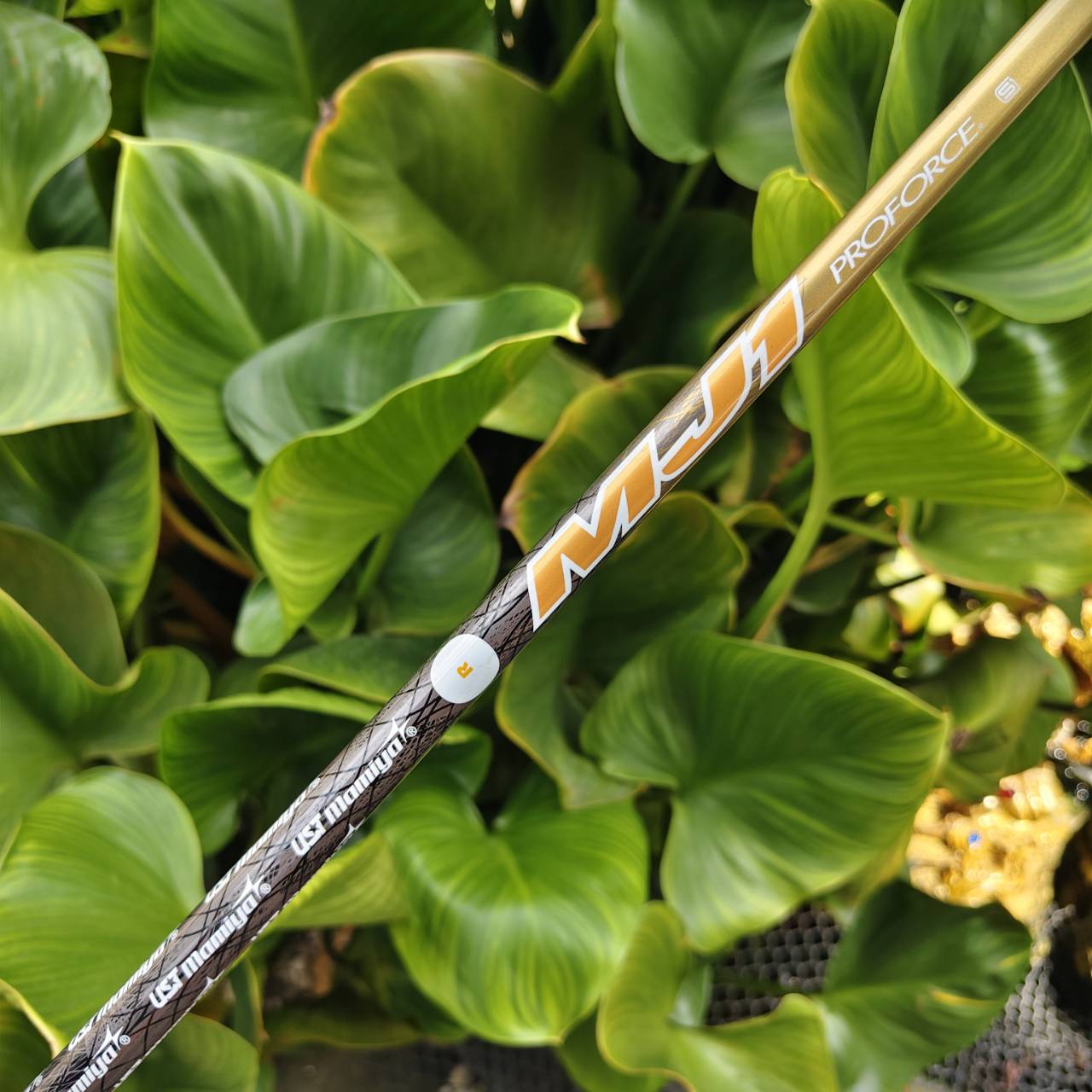 5W Mizuno RV-03 Fairway Wood Loft 19 ก้าน UST Mamiya MJ1 Flex R